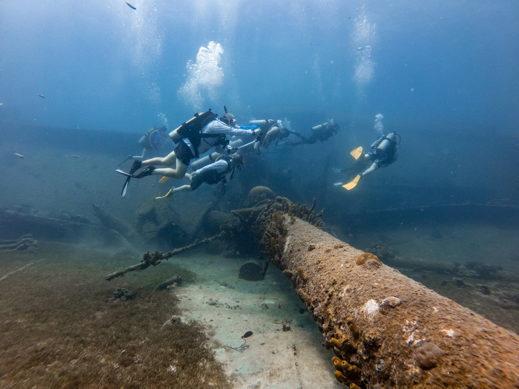 Group of scuba divers swimming beside the Antilla shipwreck in Aruba