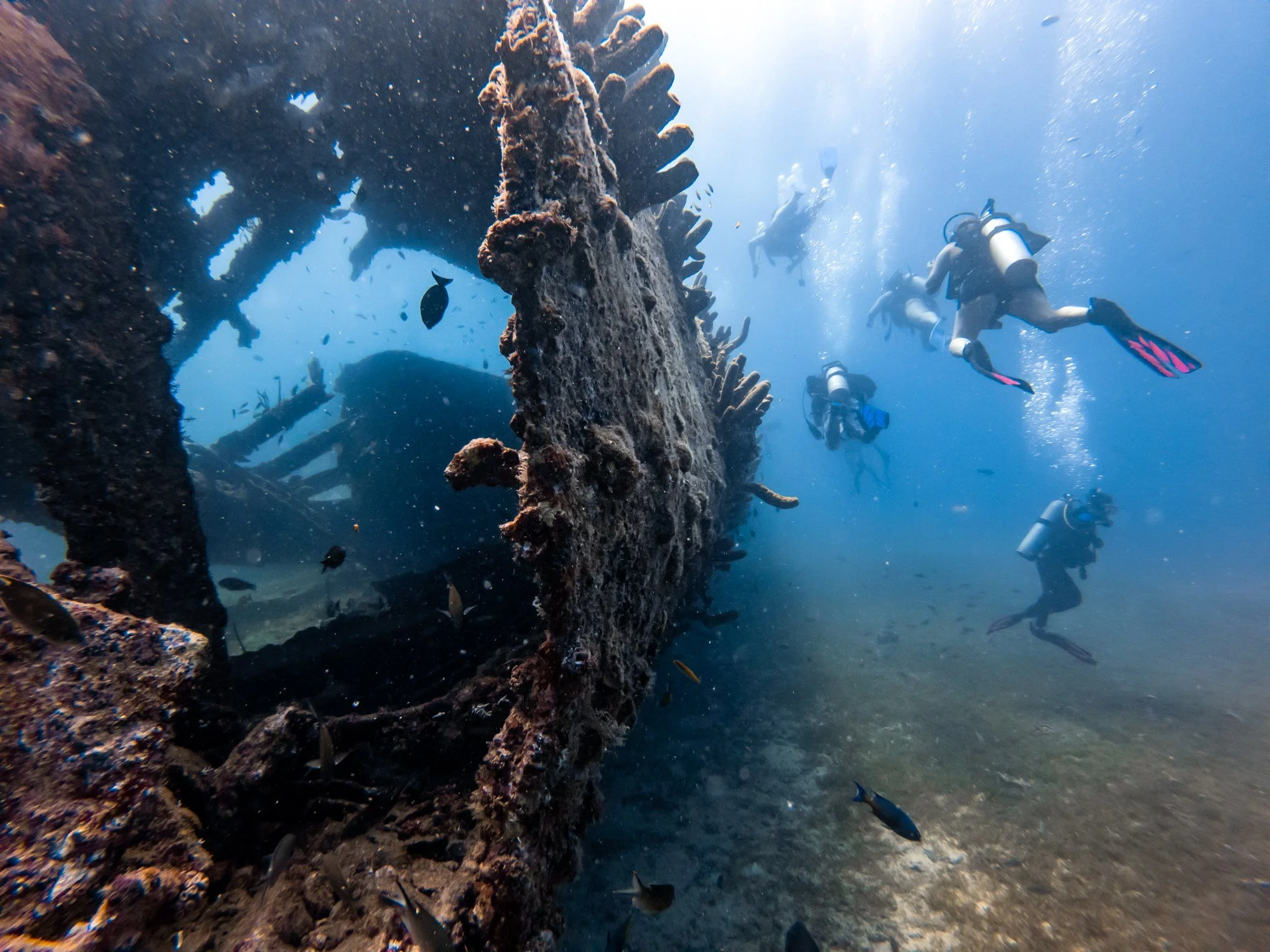 Divers exploring coral-covered structure on the Antilla shipwreck
