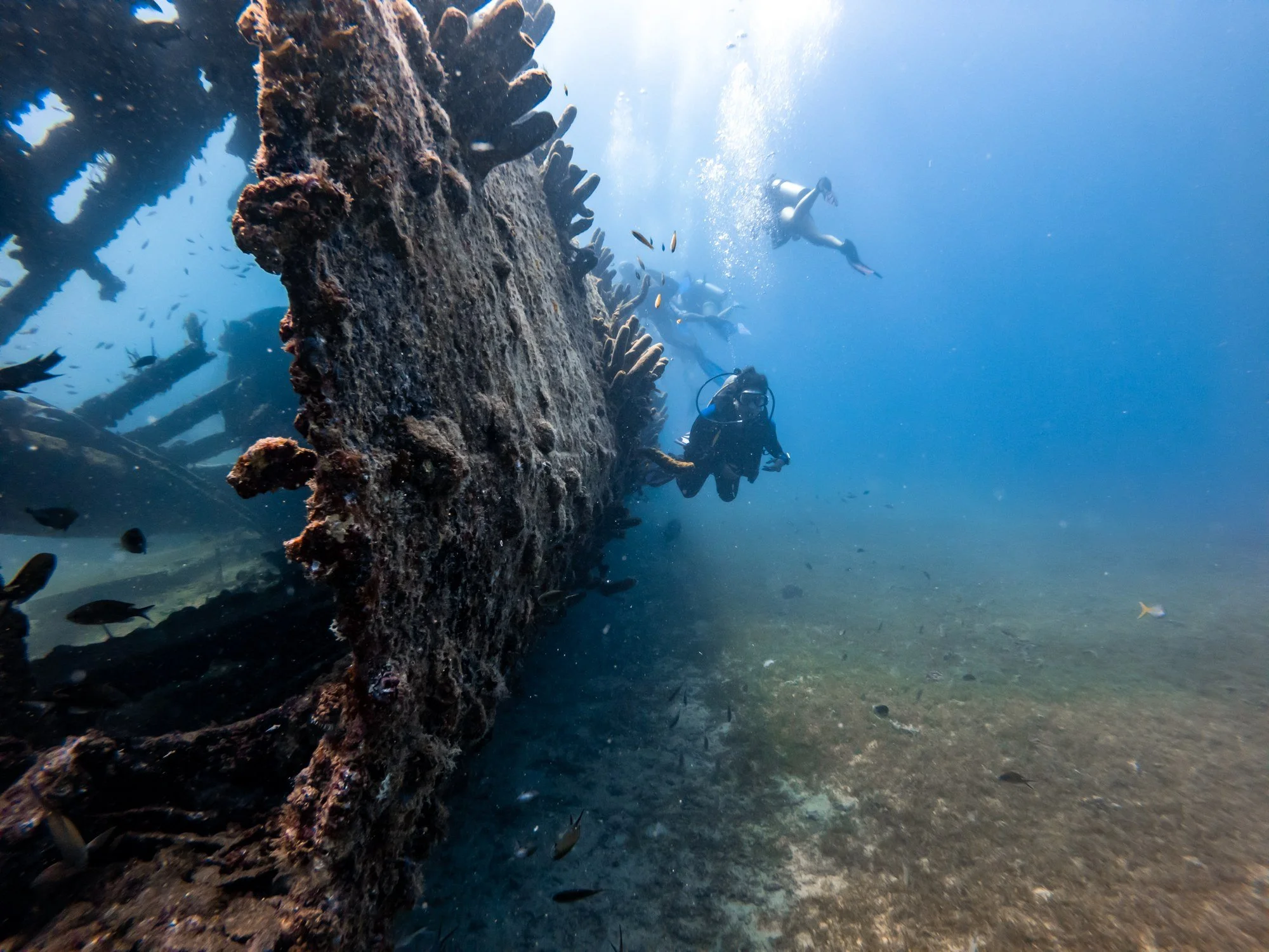 Scuba divers beside vertical wreckage at the Antilla dive site