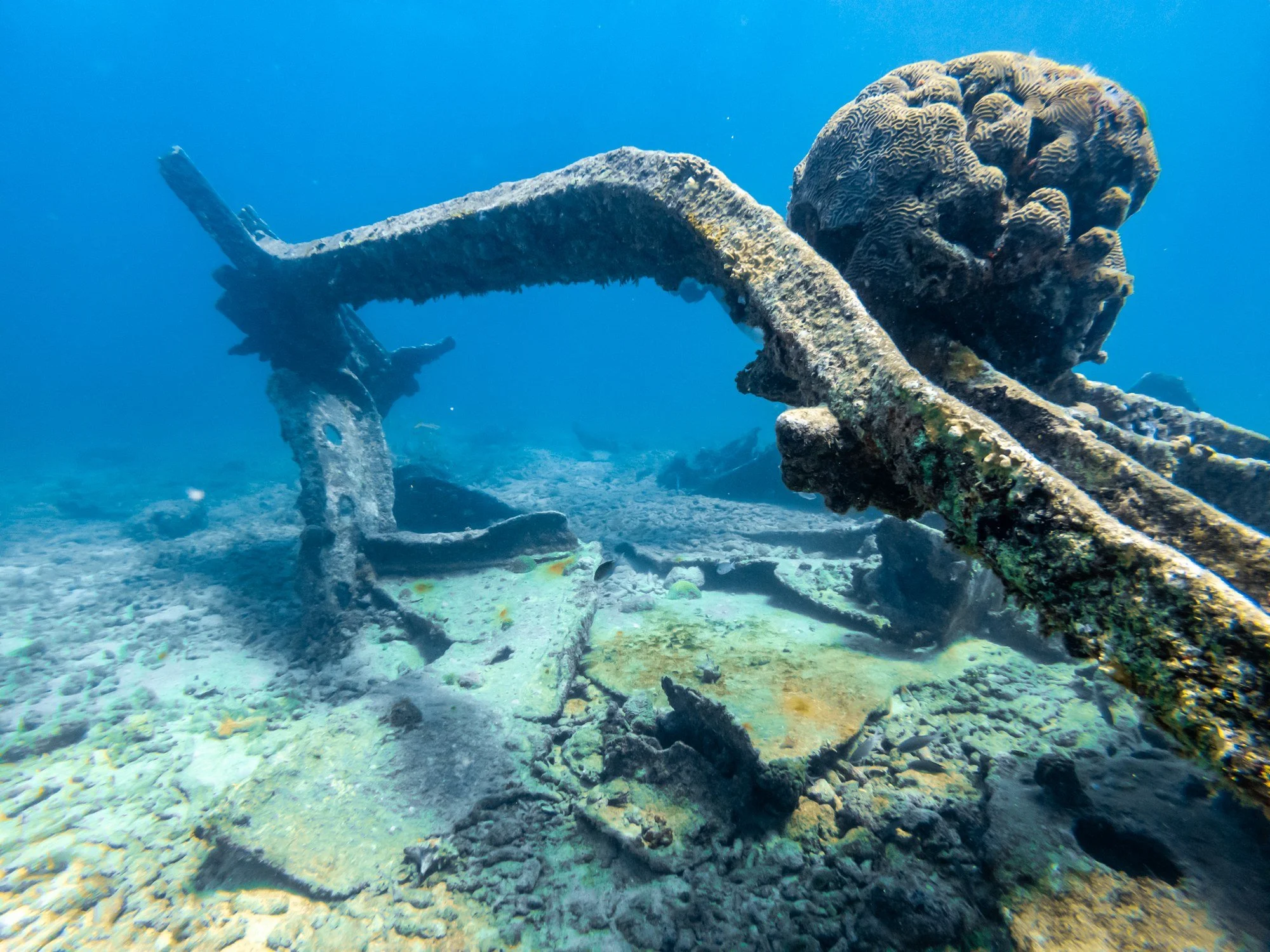 Coral-covered wreckage at the Pedernales dive site in Aruba