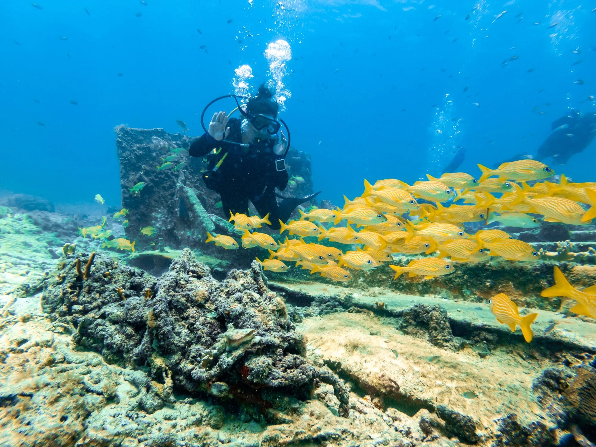 Scuba diver swimming above wreckage at the Pedernales dive site