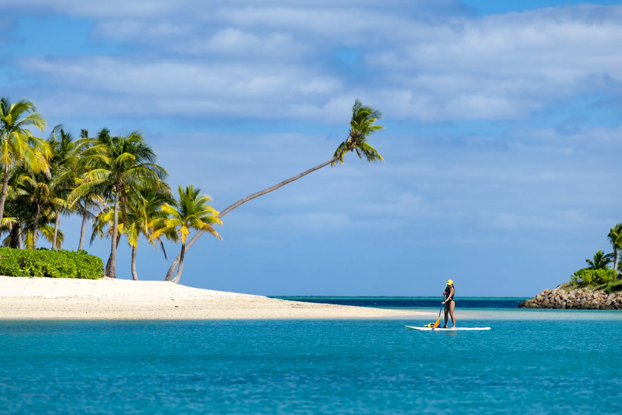 A paddleboarder crosses a turquoise lagoon beneath a leaning palm tree in Fiji.