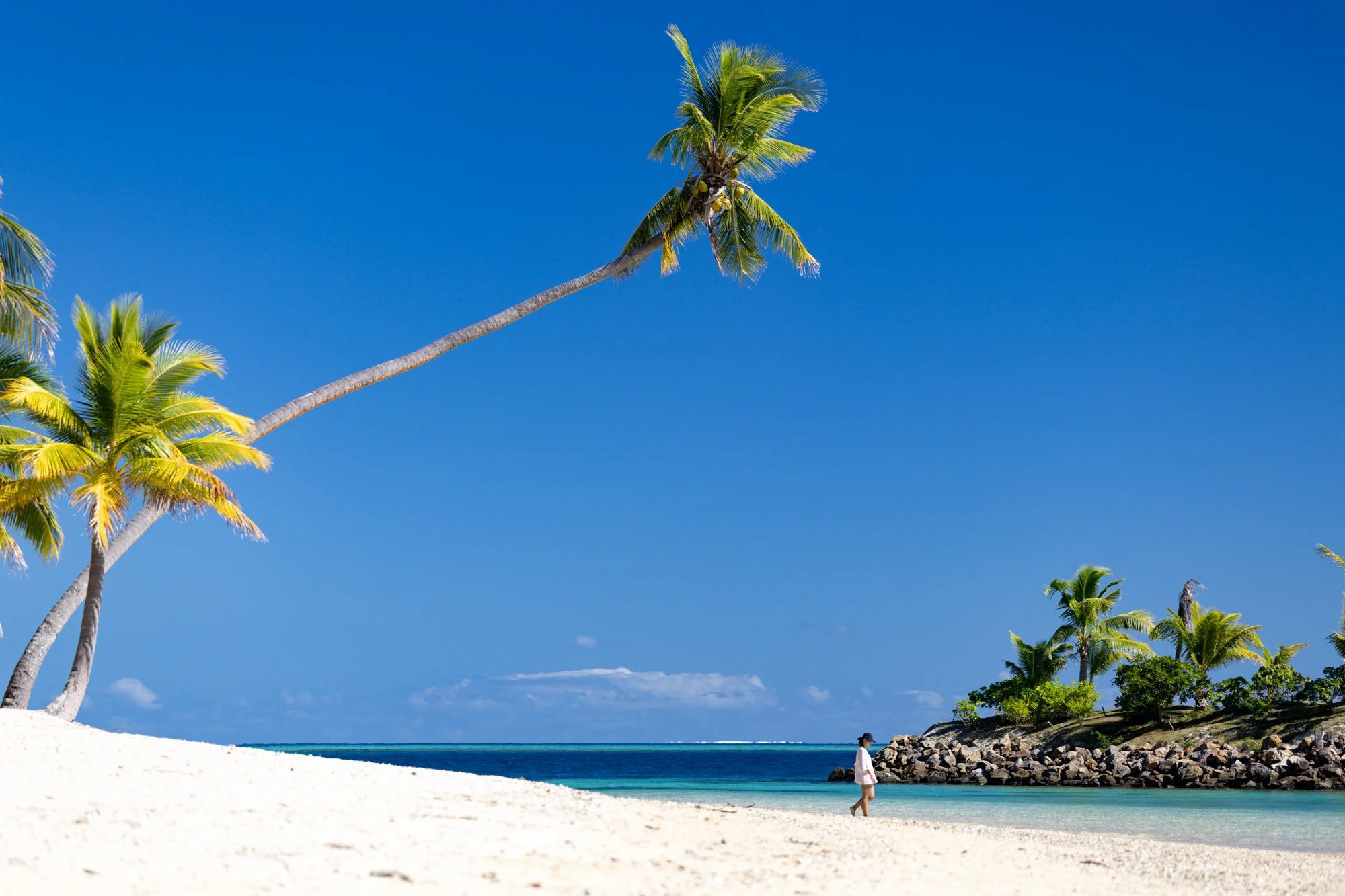 A traveler walks beneath a dramatically leaning palm tree on a white-sand beach in Fiji.