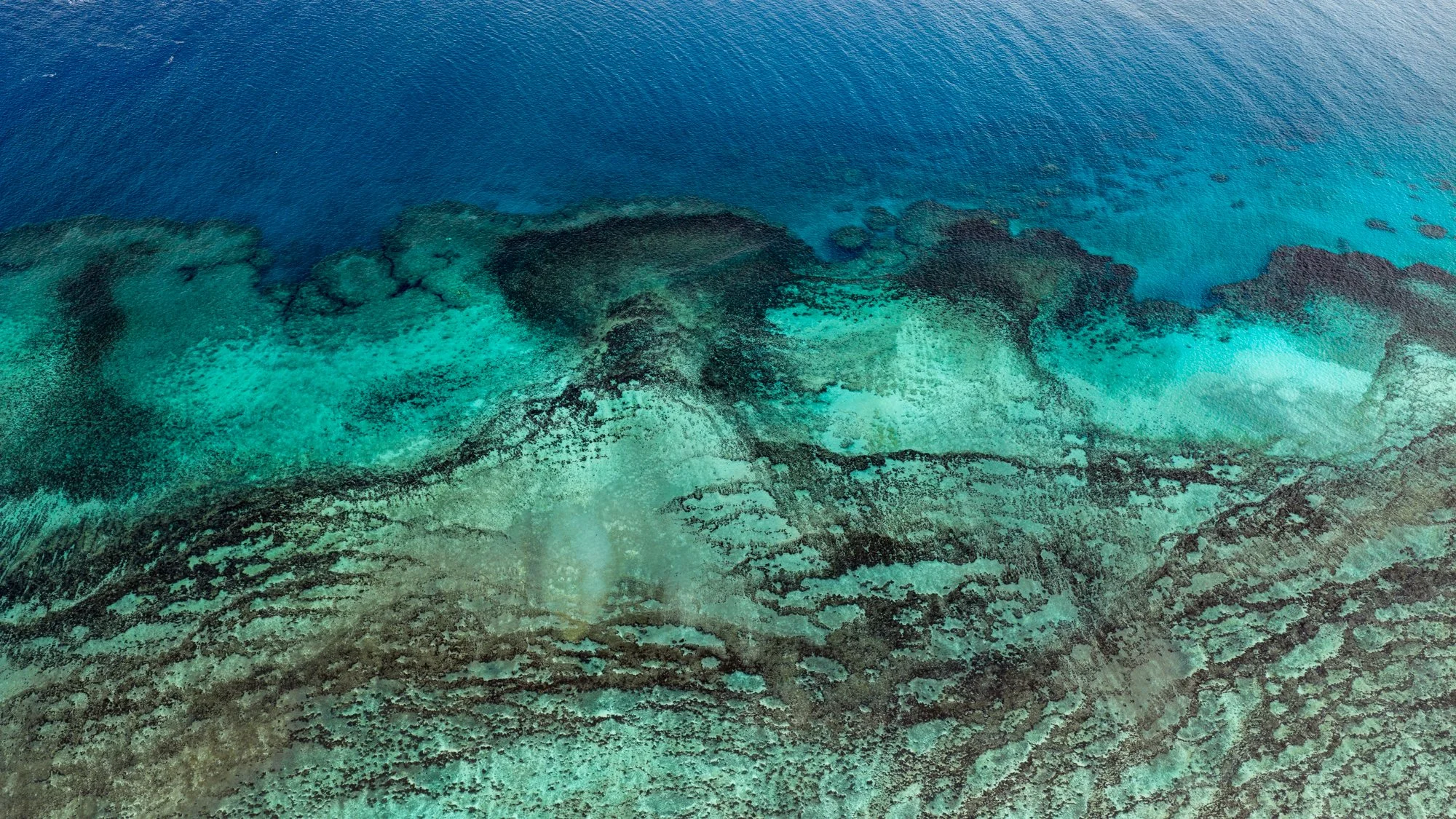 Top-down aerial view of intricate coral formations beneath turquoise and deep blue water in Fiji.
