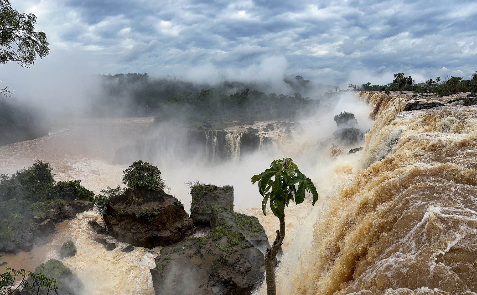 Iguazú Falls surrounded by rainforest on the Argentine side