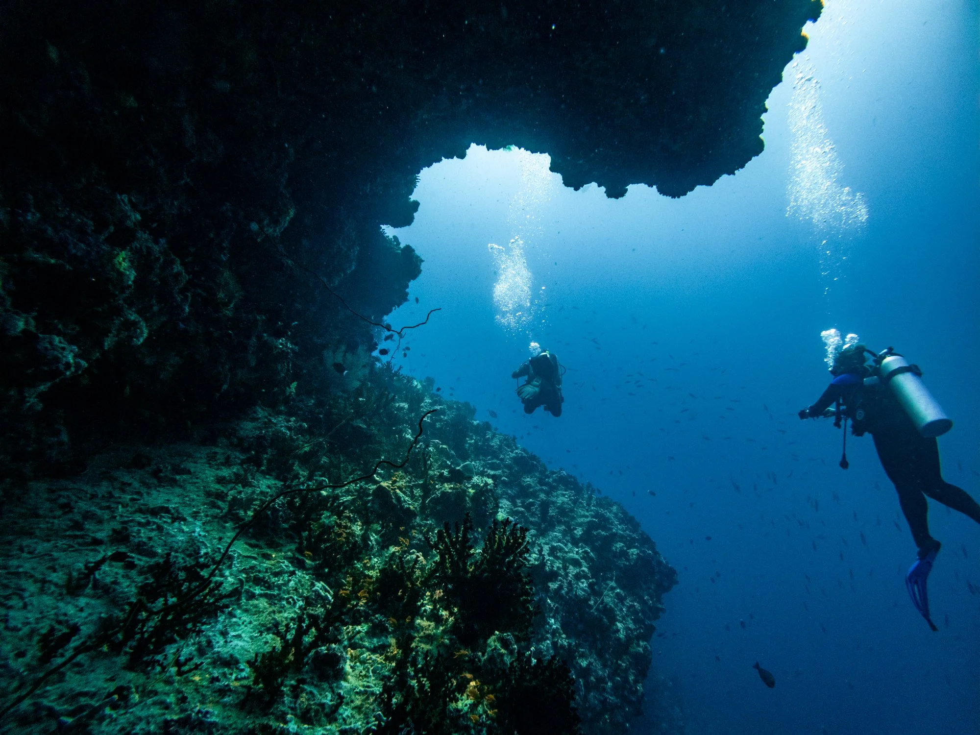 Scuba divers exploring a dramatic underwater coral arch in the Maldives.