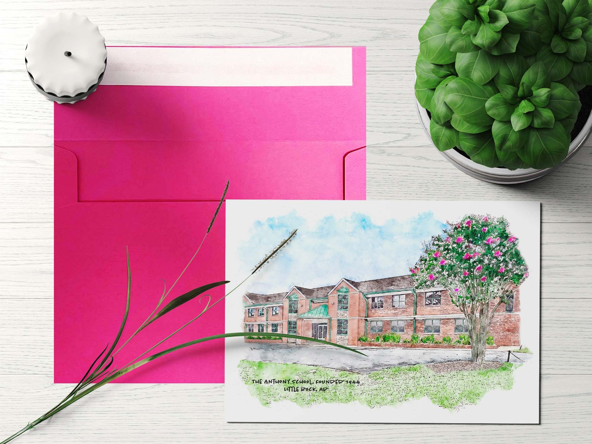 Anthony School_Mockup7_Pink Envelope.jpg