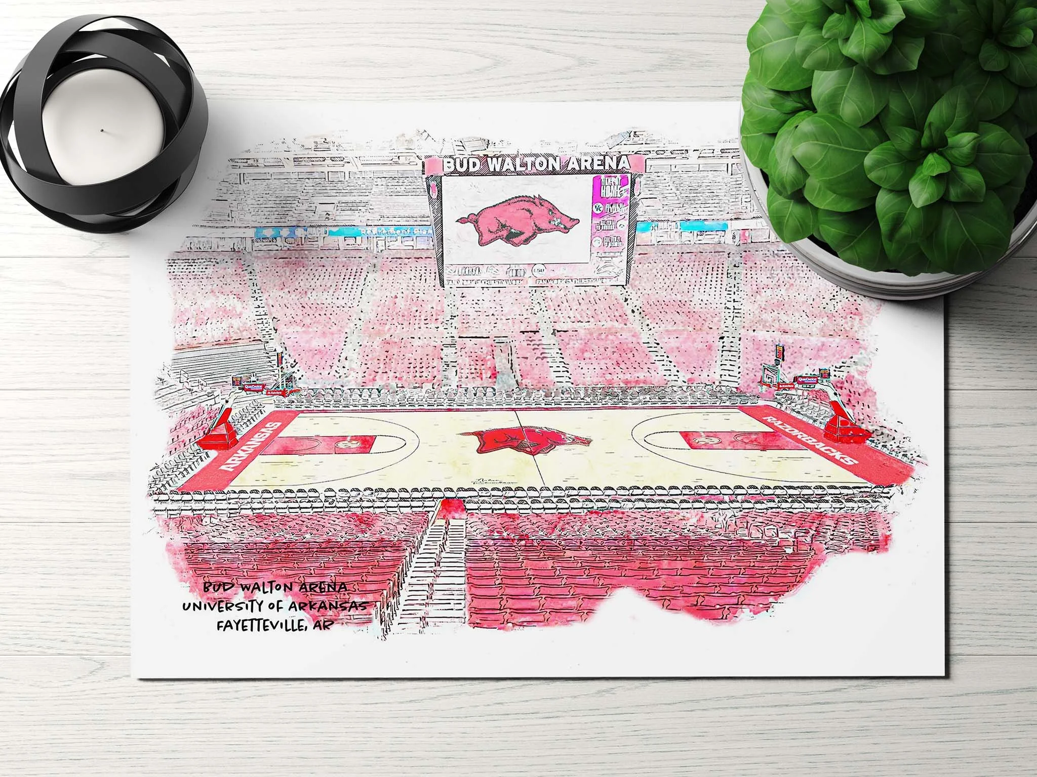 bud-walton-arena_university-of-arkansas_mockup_5x7.jpg