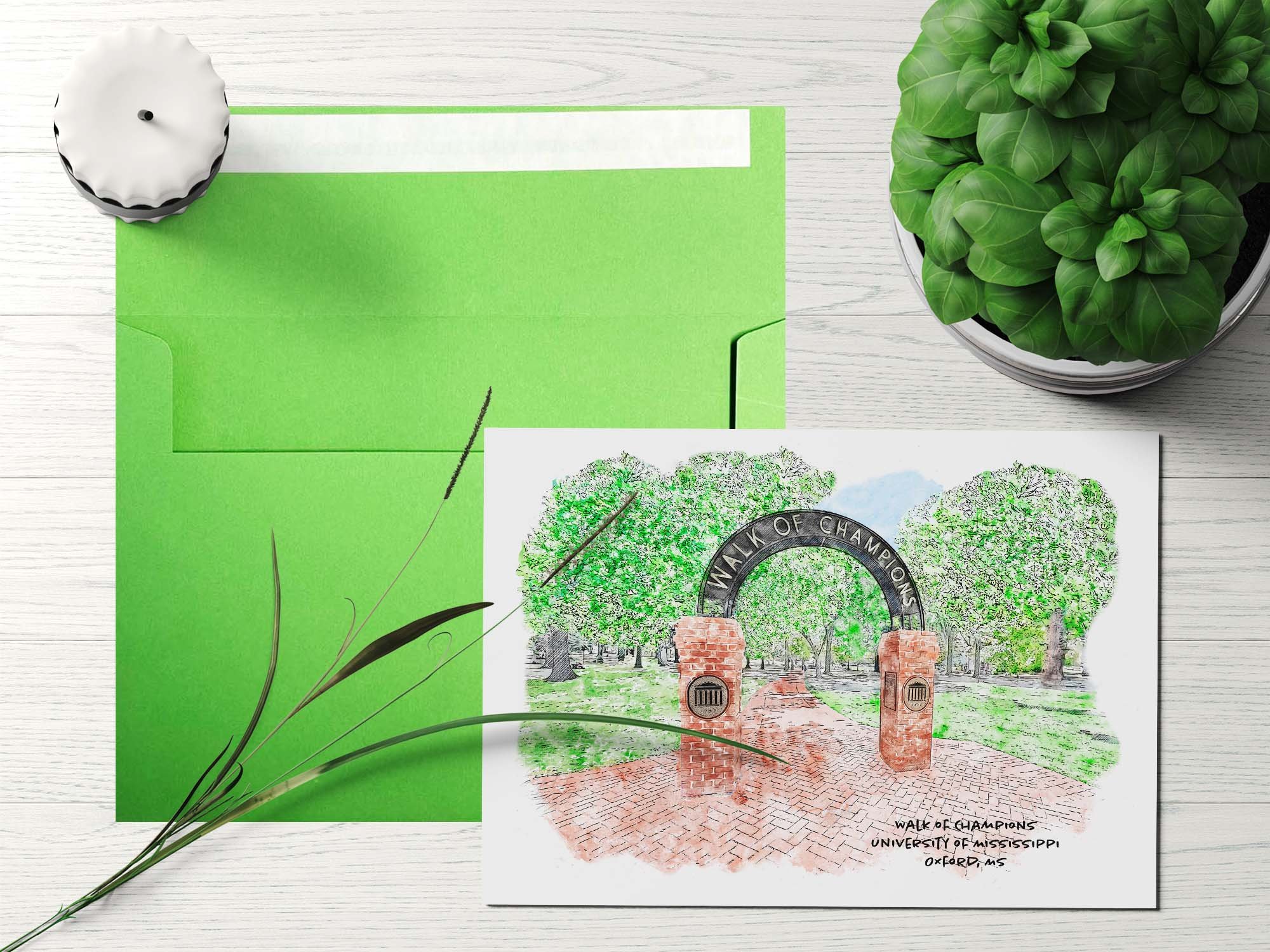 Ole Miss Walk of Champions_Mockup7_Green Envelope.jpg