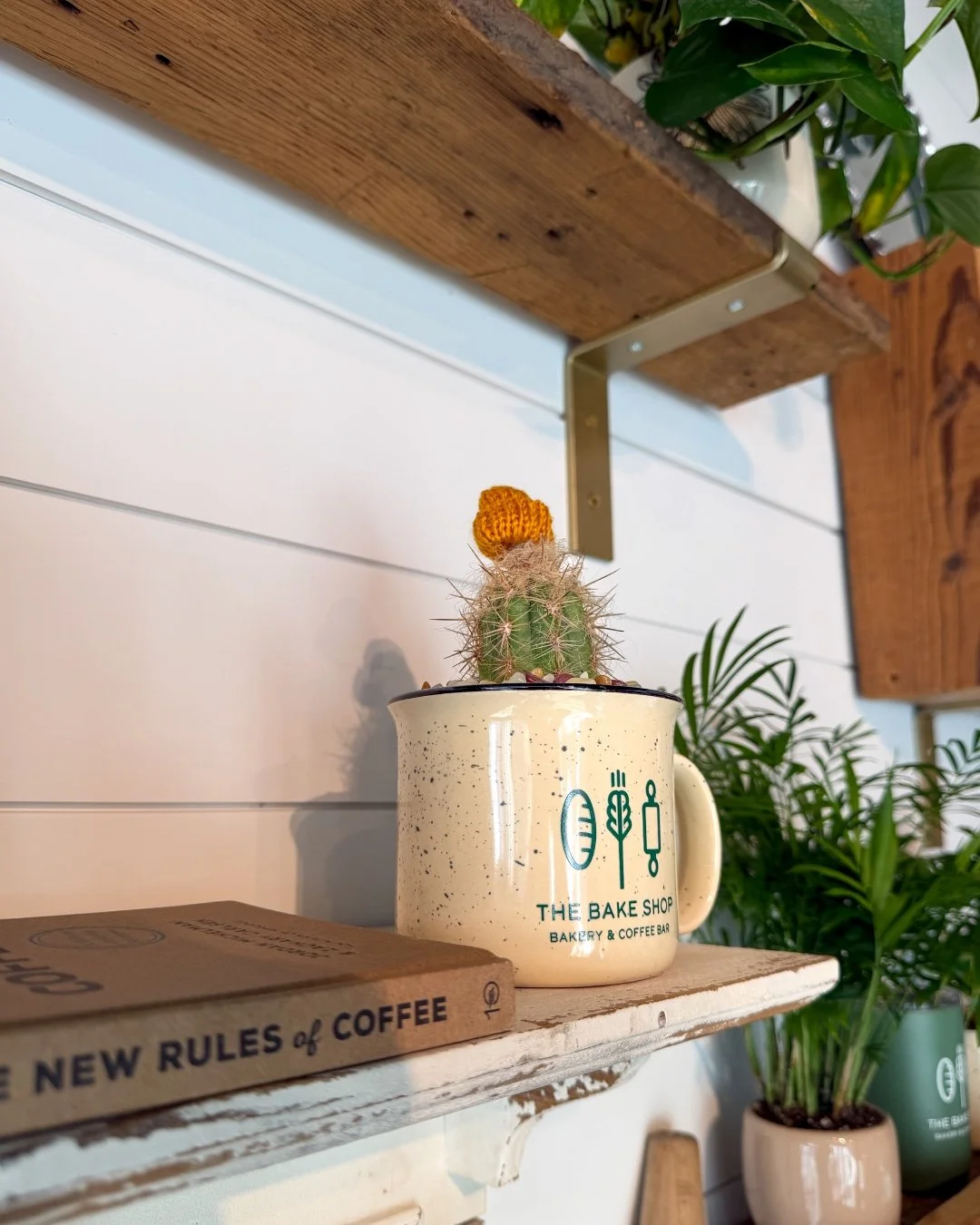 Update loading... come through for our refreshed menu, with something new blooming soon!

Bagels first. Pastries always. Coffee forever. 💚