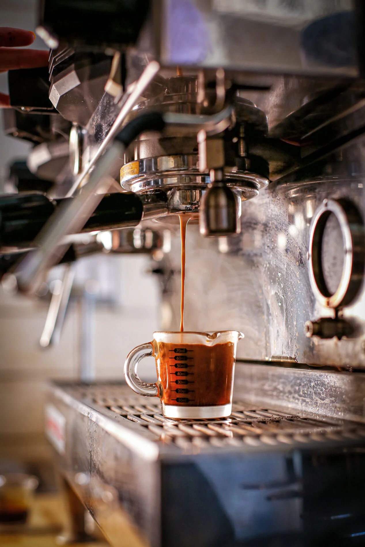 THE BAKE SHOP WILLIAMSBURG'S PREMIER ARTISAN BAKERY