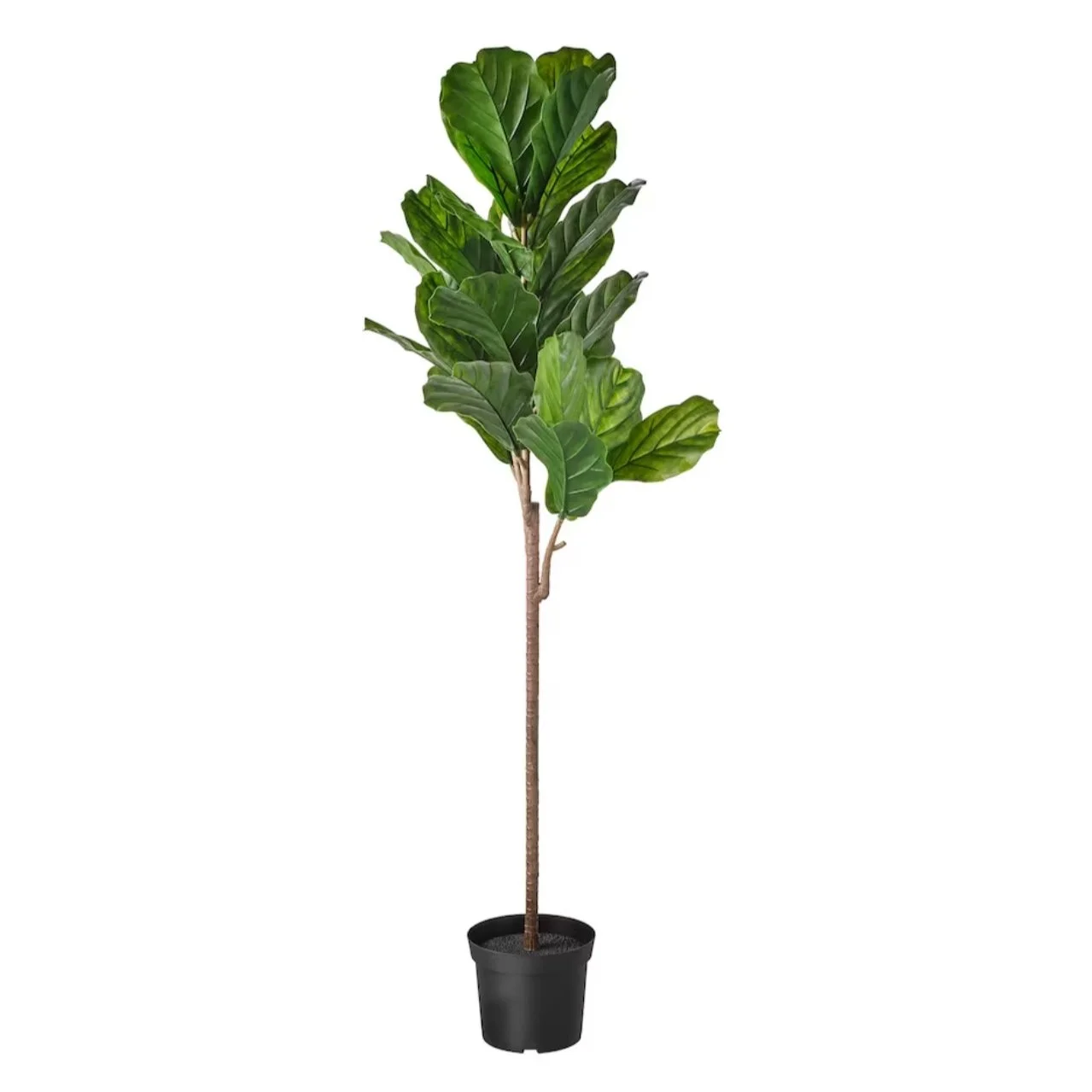 Artificial Fig Plant 
