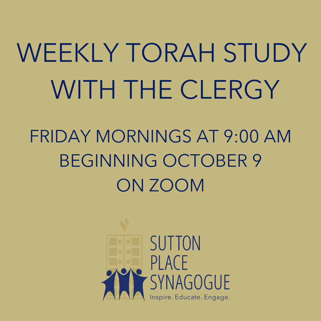 Weekly Torah Study with rotating clergy&nbsp;