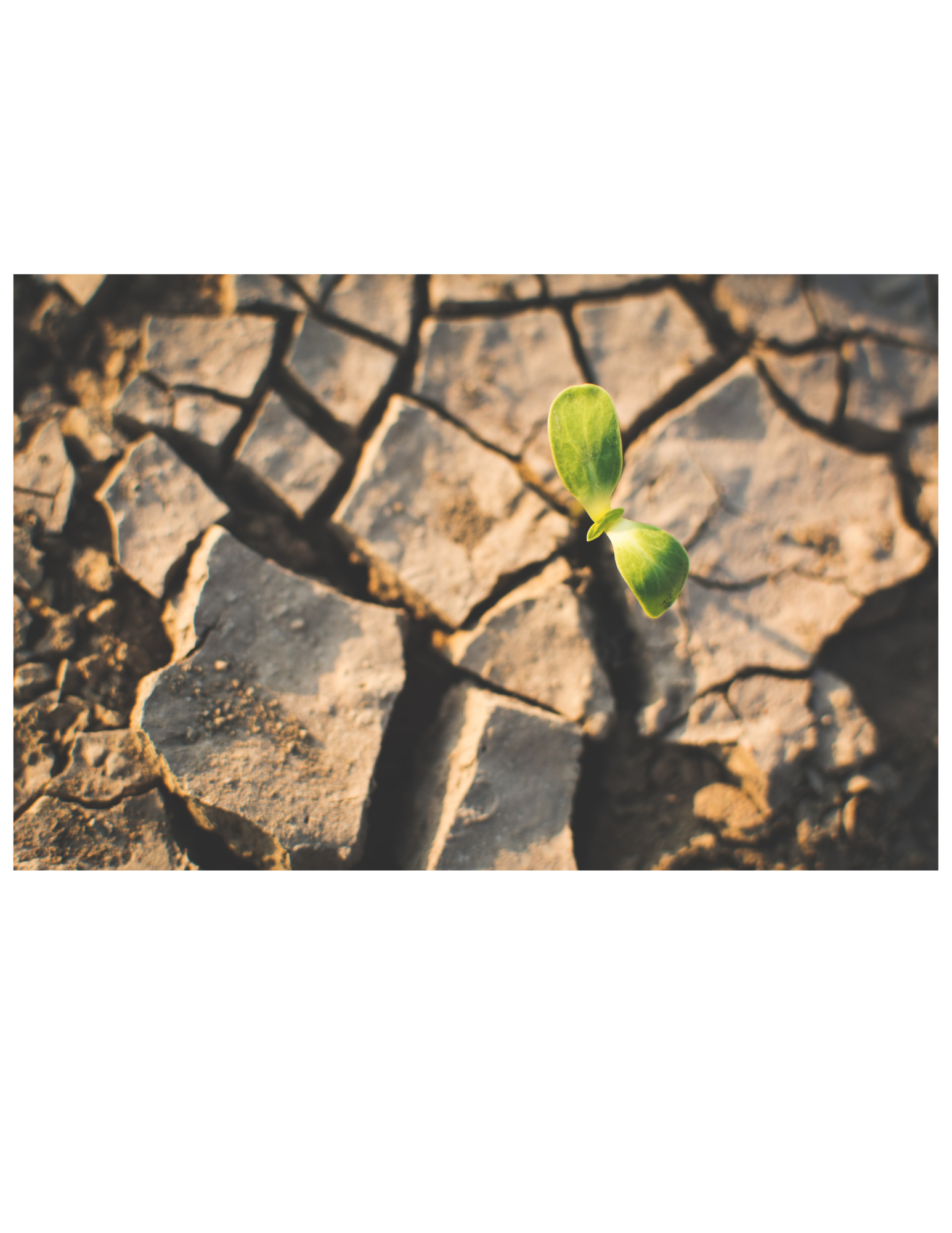 Leading Change: What To Say (and Do) When You Don’t Have All the Answers