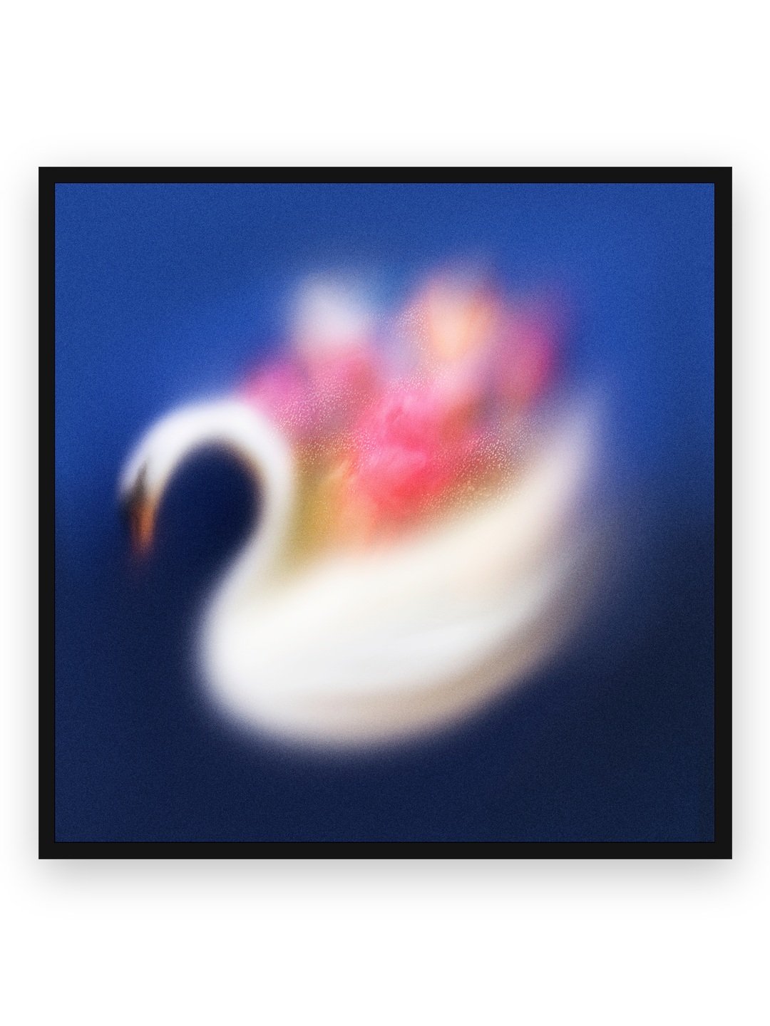 CRYING SWANS— FINE ART PRINT