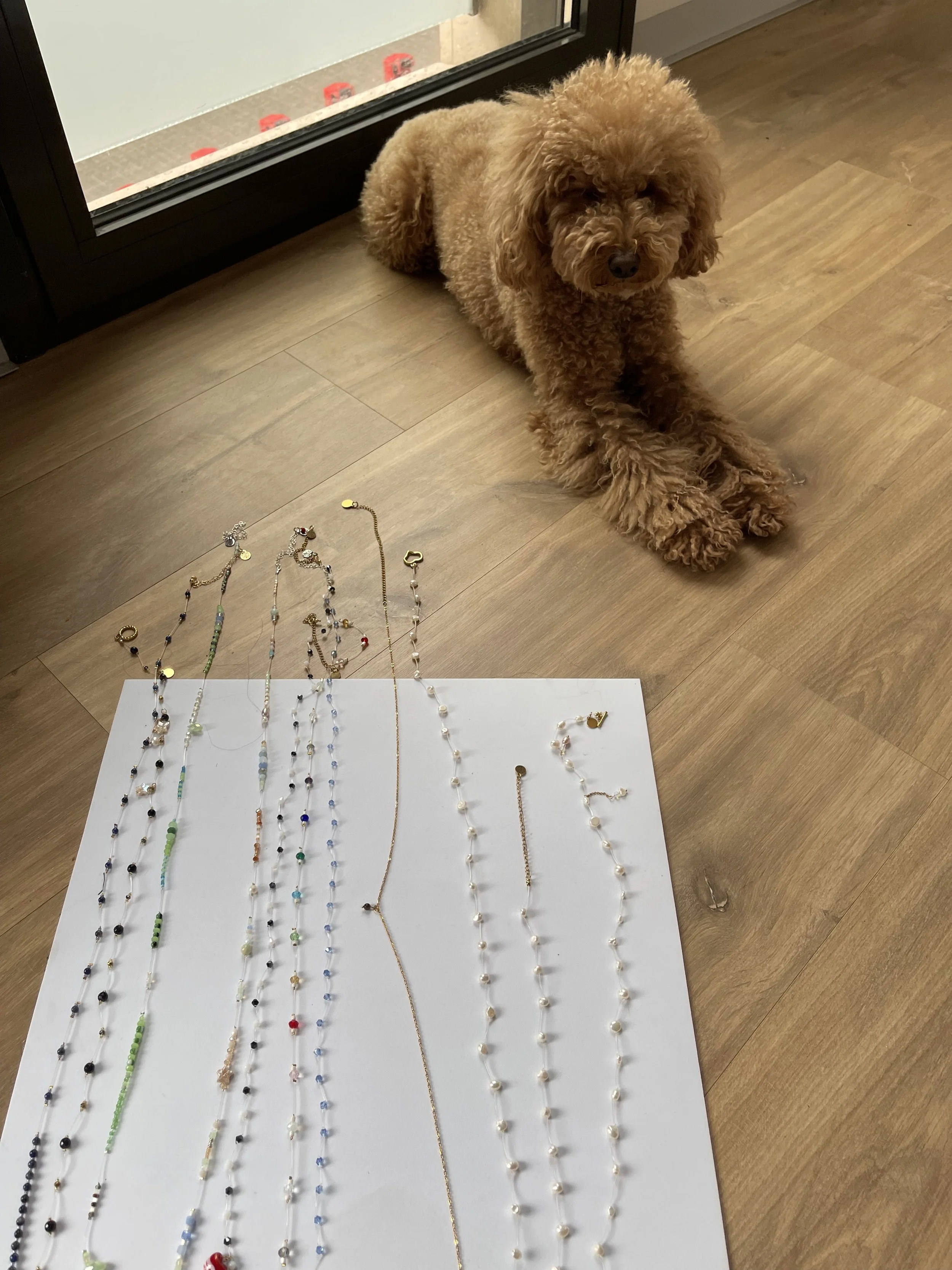 IMG_1279 - Nina Forcher.jpg