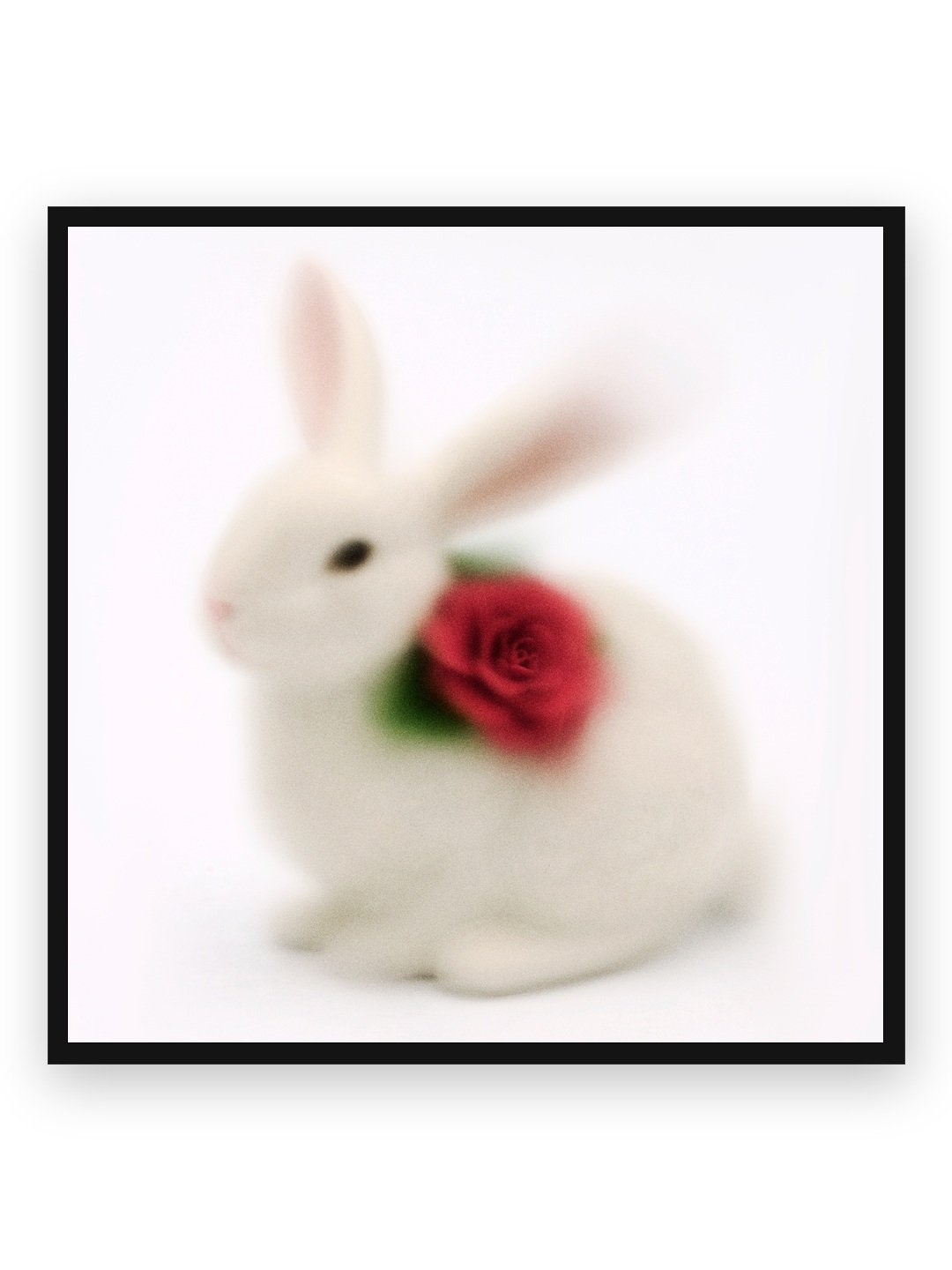 BUNNY — FINE ART PRINT
