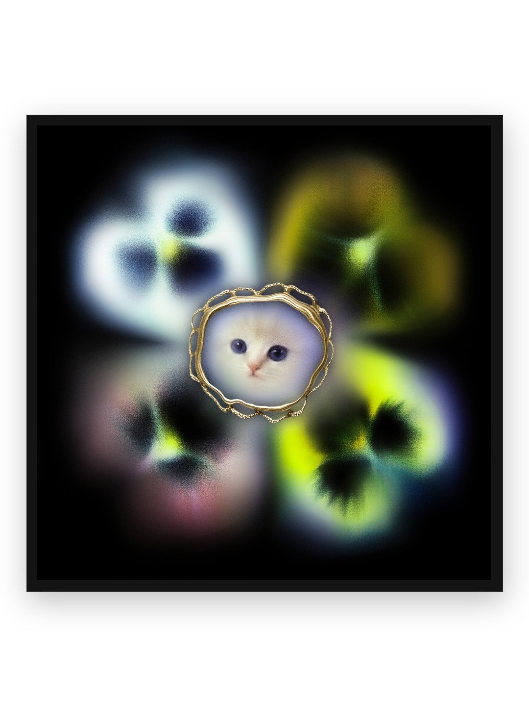CAT FRAME — FINE ART PRINT