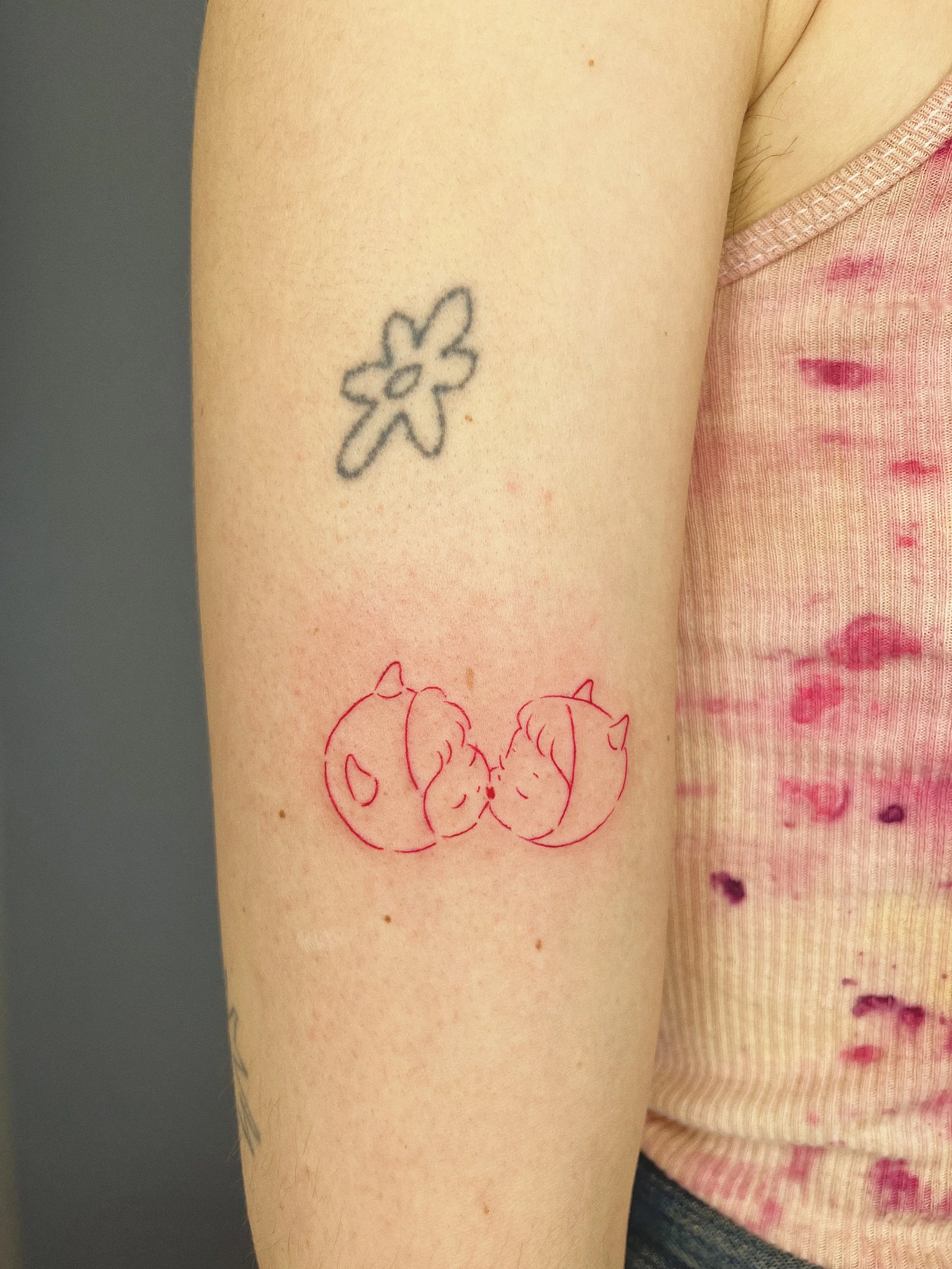 CC1F6865-A6B1-416B-ABAB-93DD16432191 - María Antonieta García Agostinelli.JPG