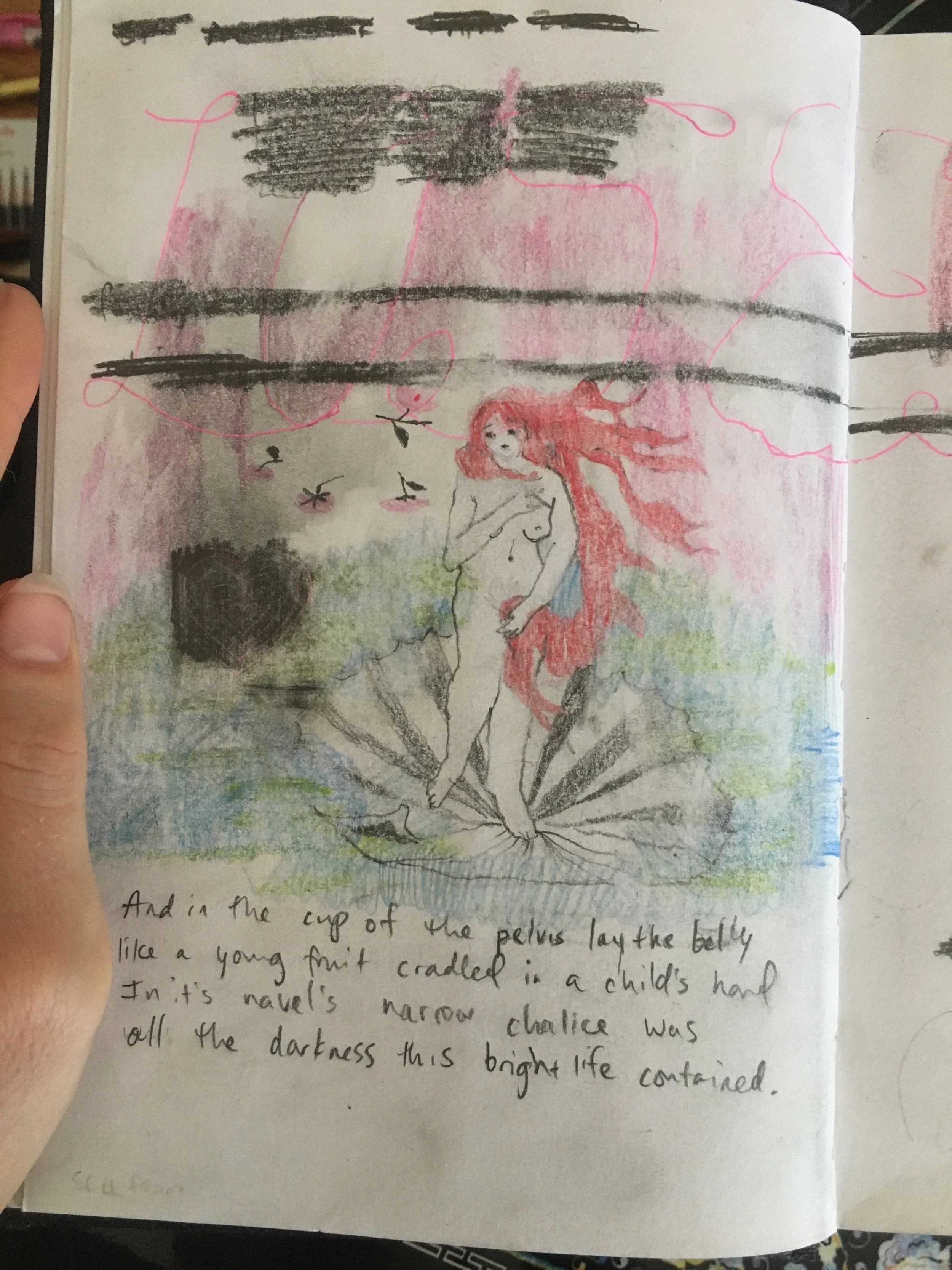 IMG_8014 - Sharada Tolton.JPG