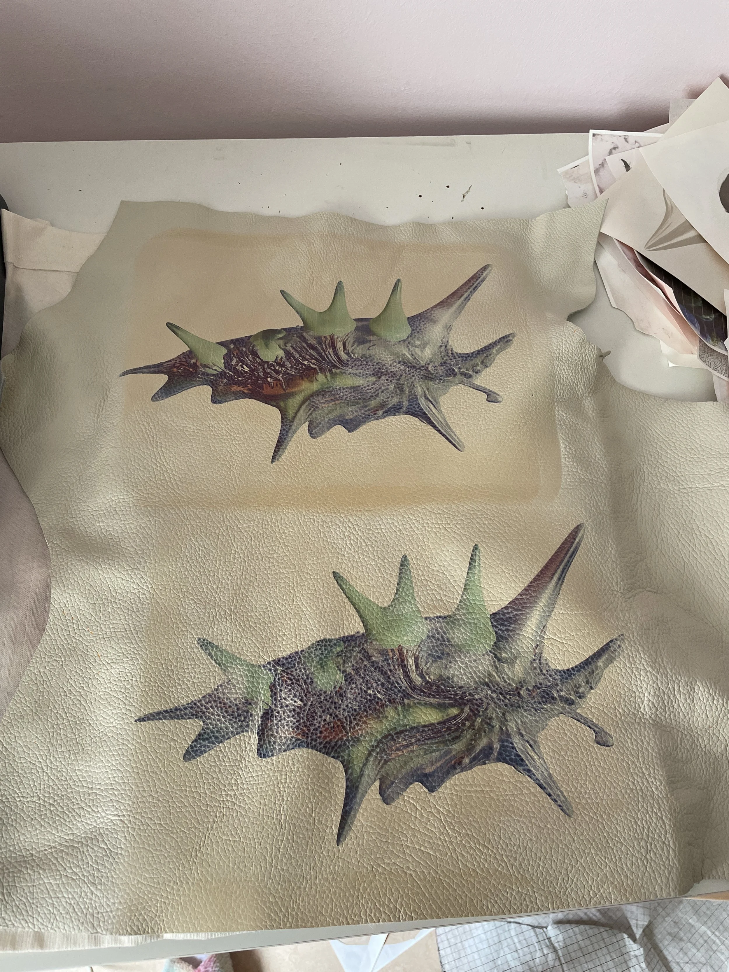 camphoto_1251336619 - Rebecca Adam.jpeg