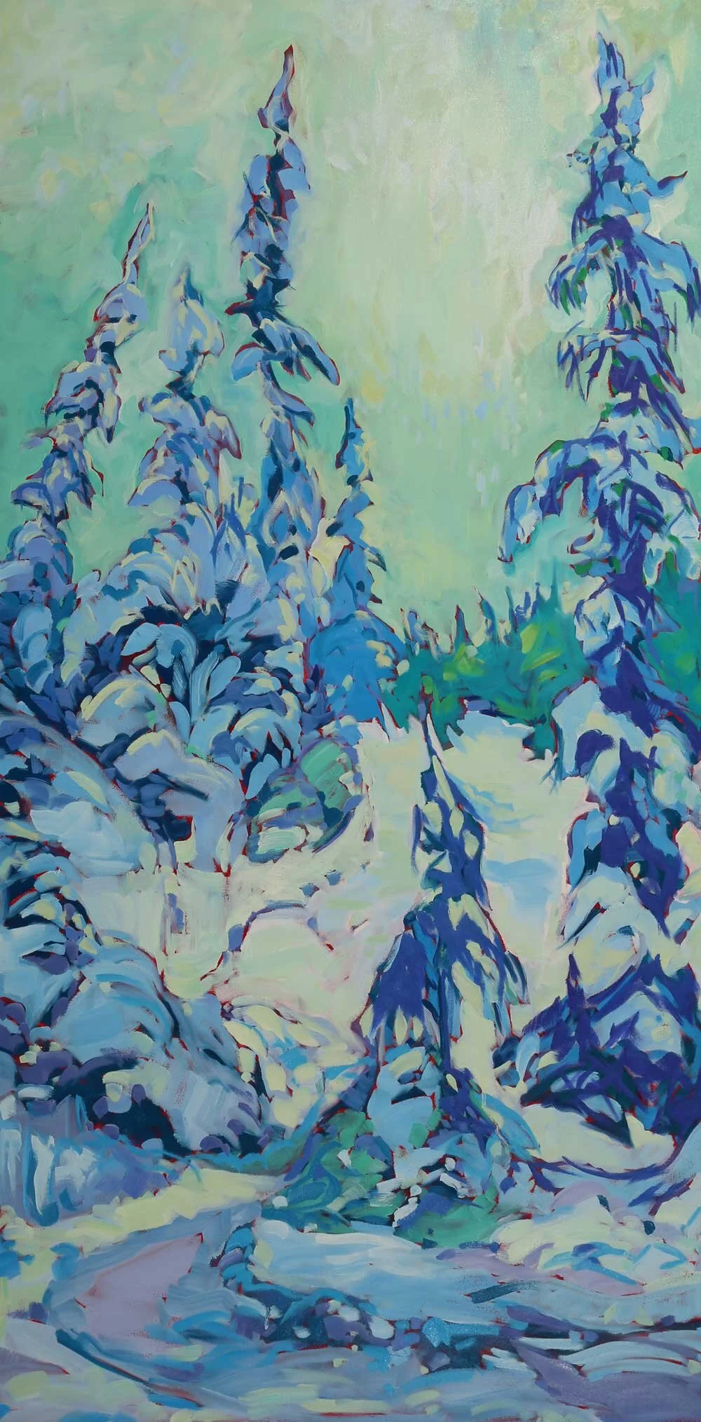 BlackSpruce.jpg