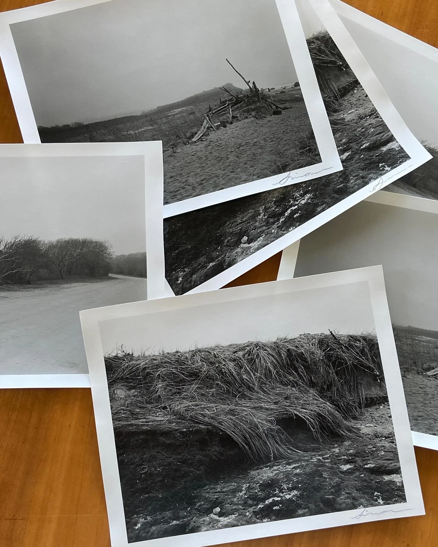 new littles going out 💌

8x10 hand processed silver gelatin prints