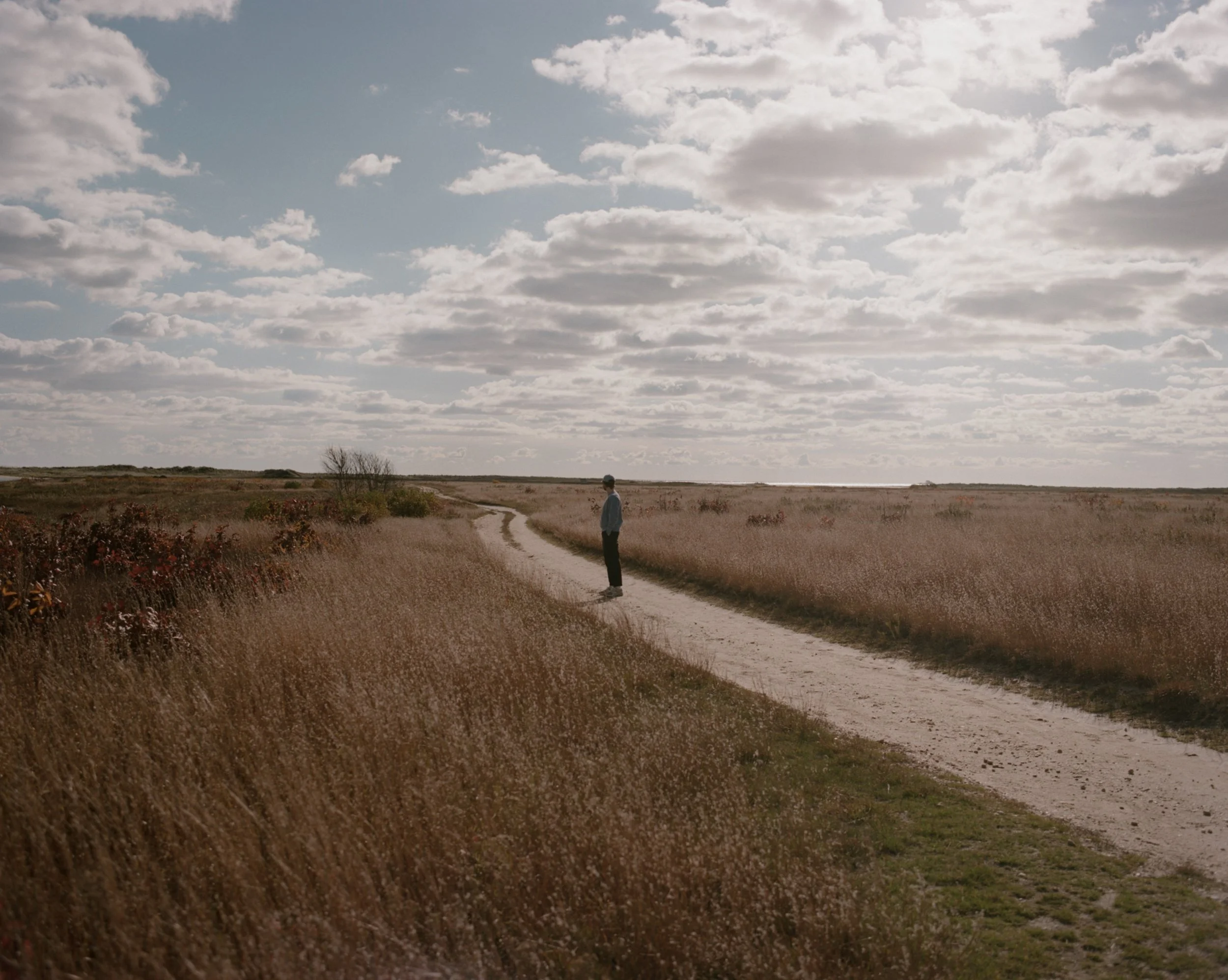 Martha's Vineyard 500.jpeg