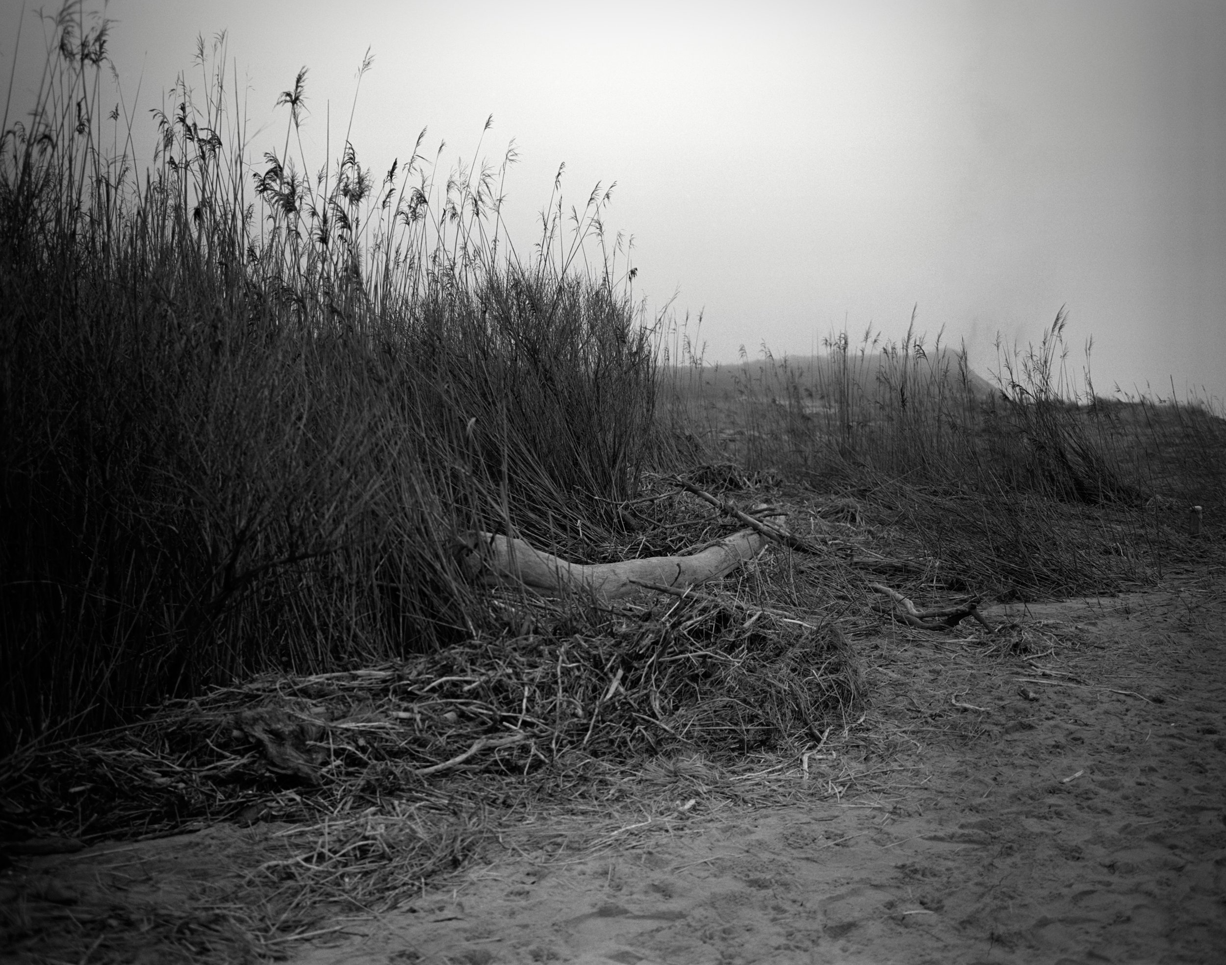 Lucy Vincent 900.jpeg