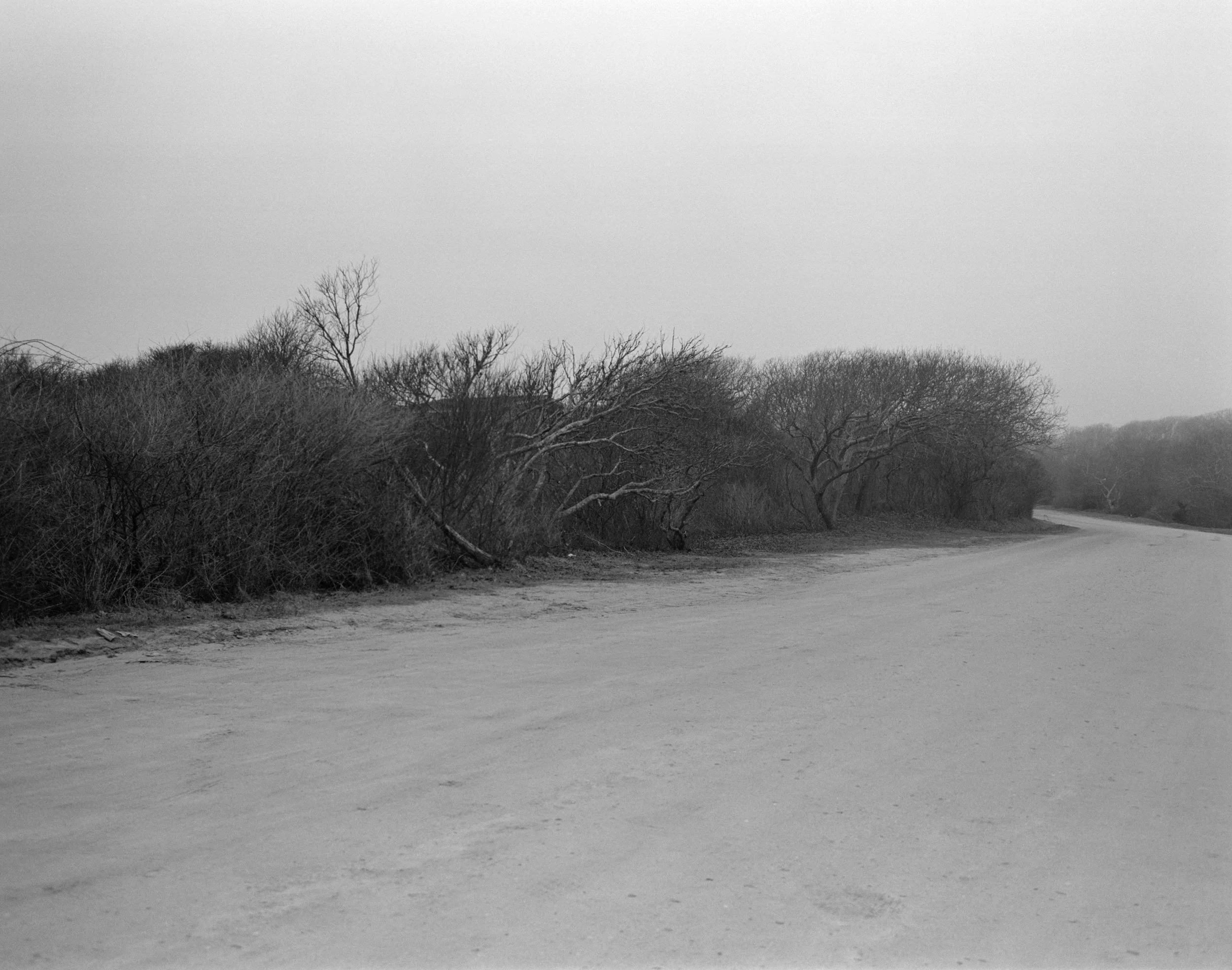 Martha's Vineyard 800.jpeg