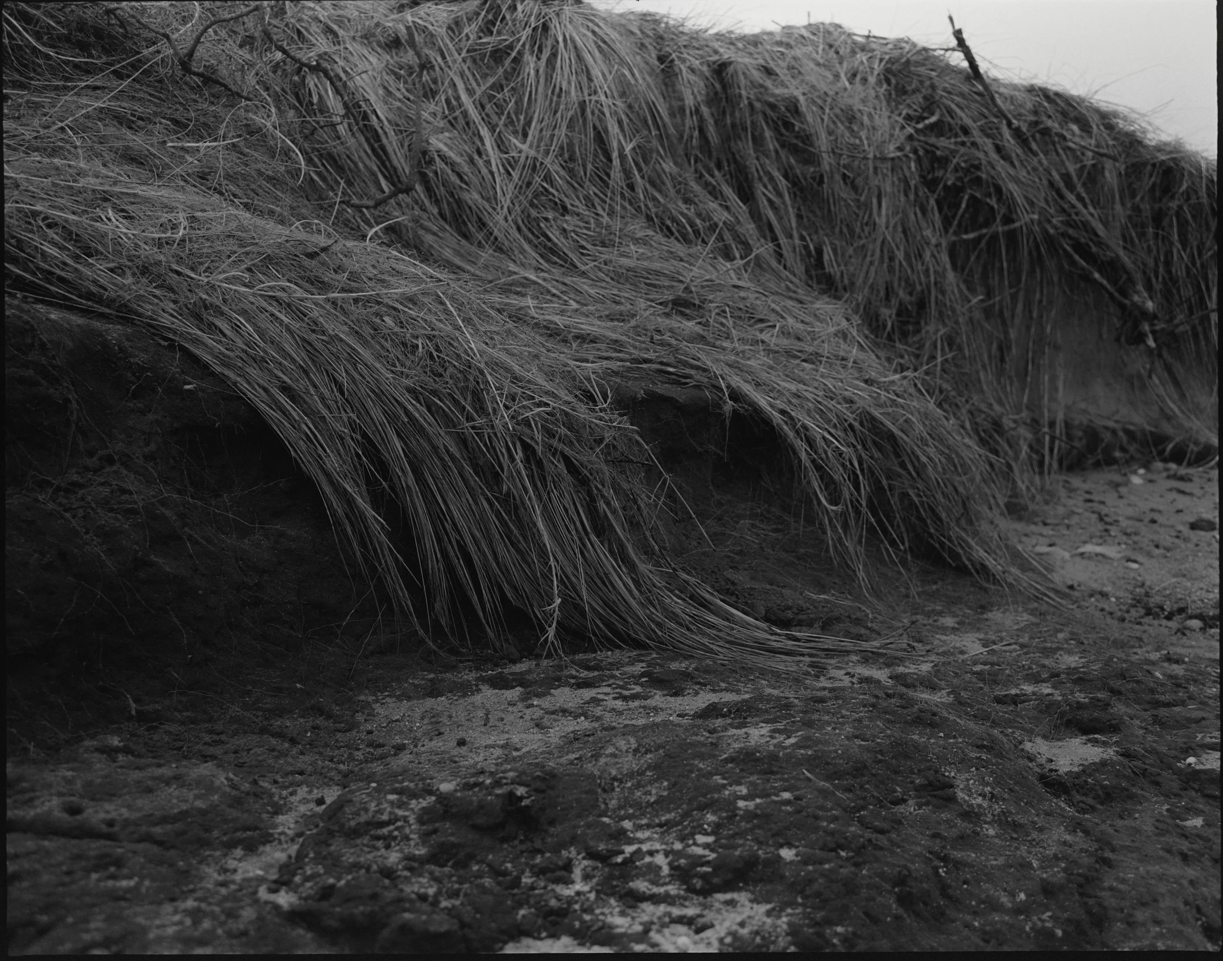 Lucy Vincent 8989.JPEG