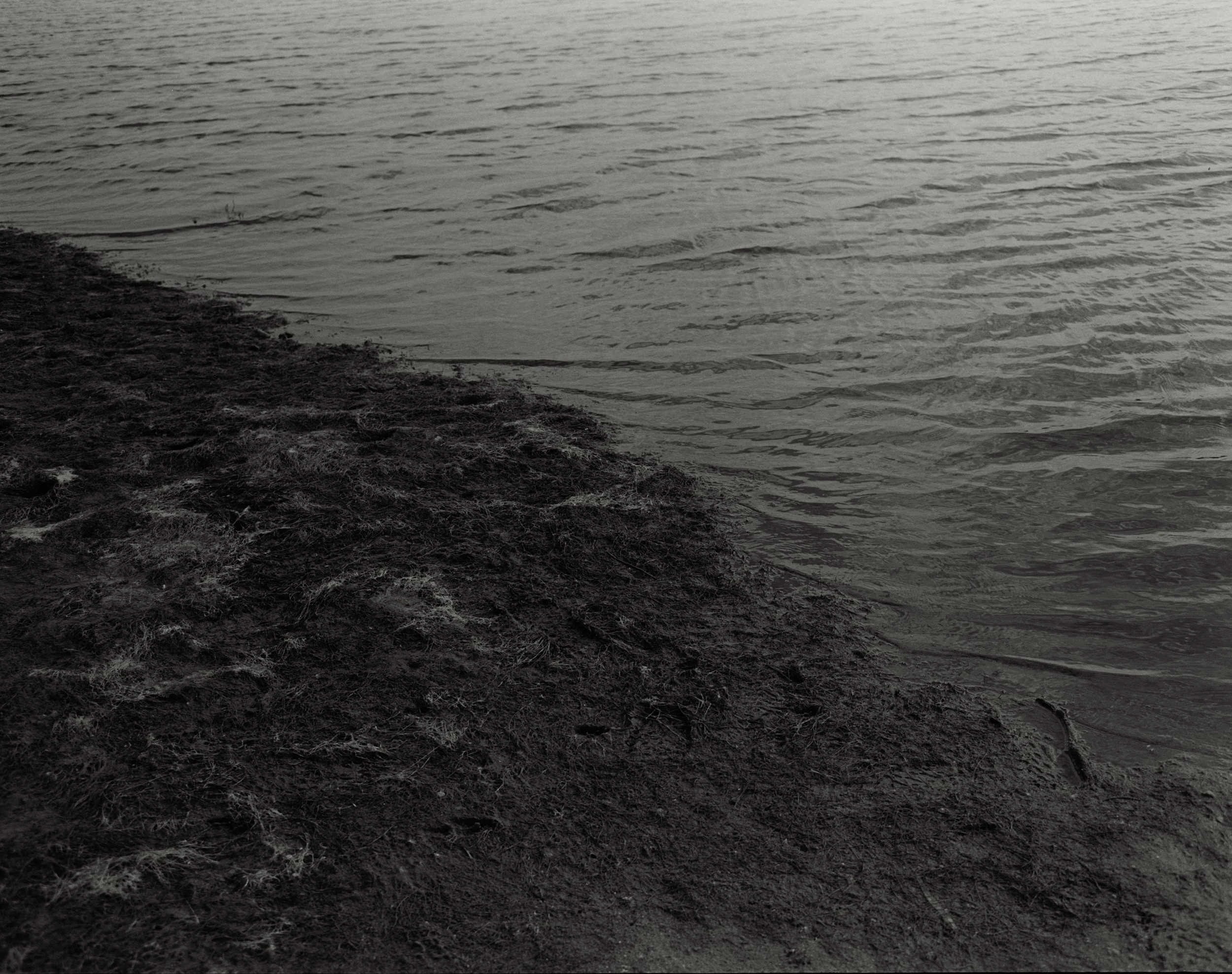 chilmark pond 777.jpg