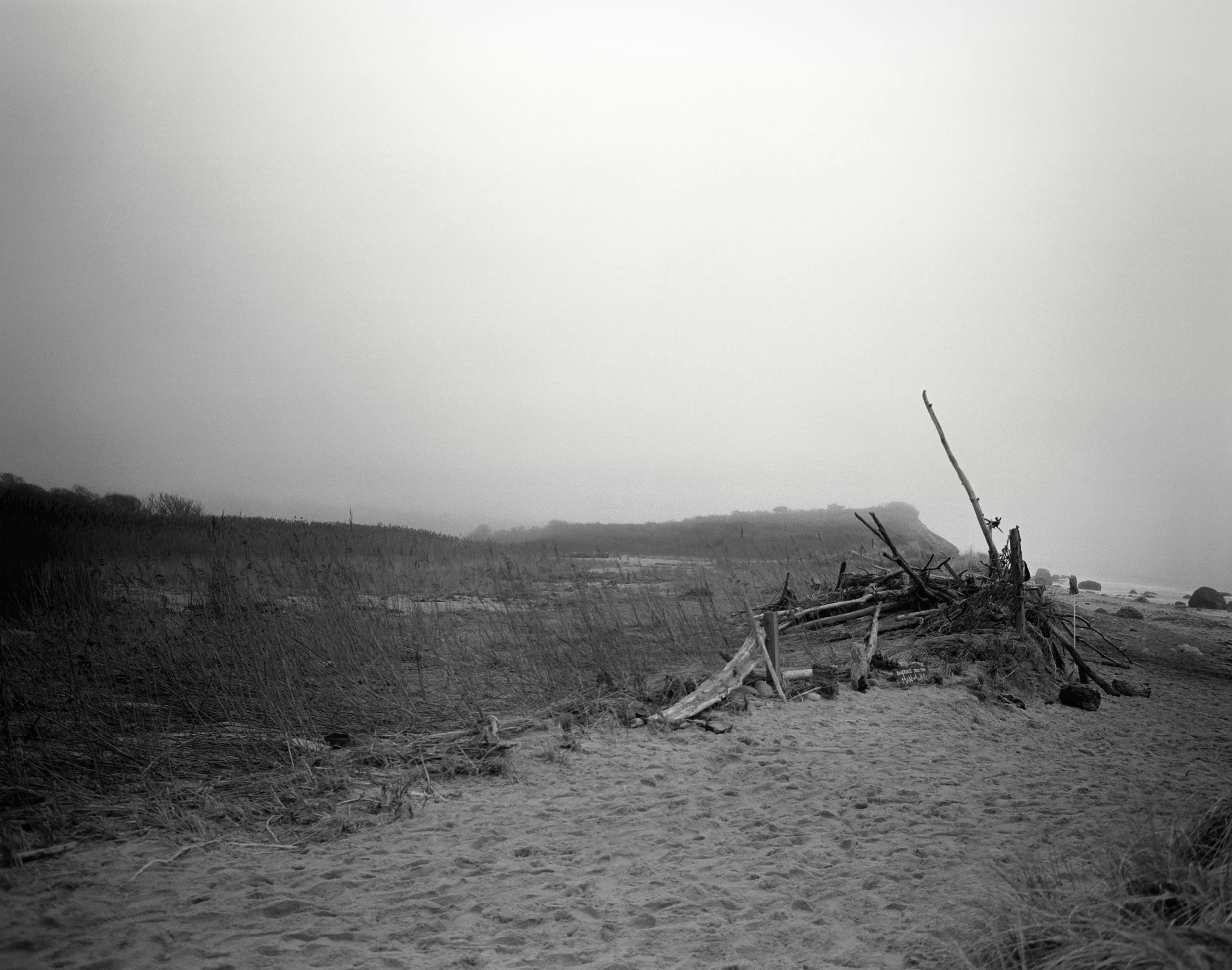 Martha's Vineyard 100.jpeg