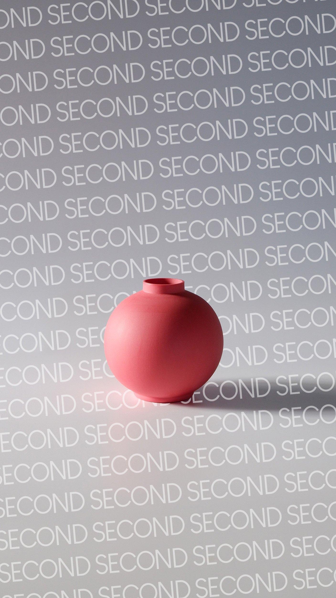04-2 Raspberry Round Second.jpg