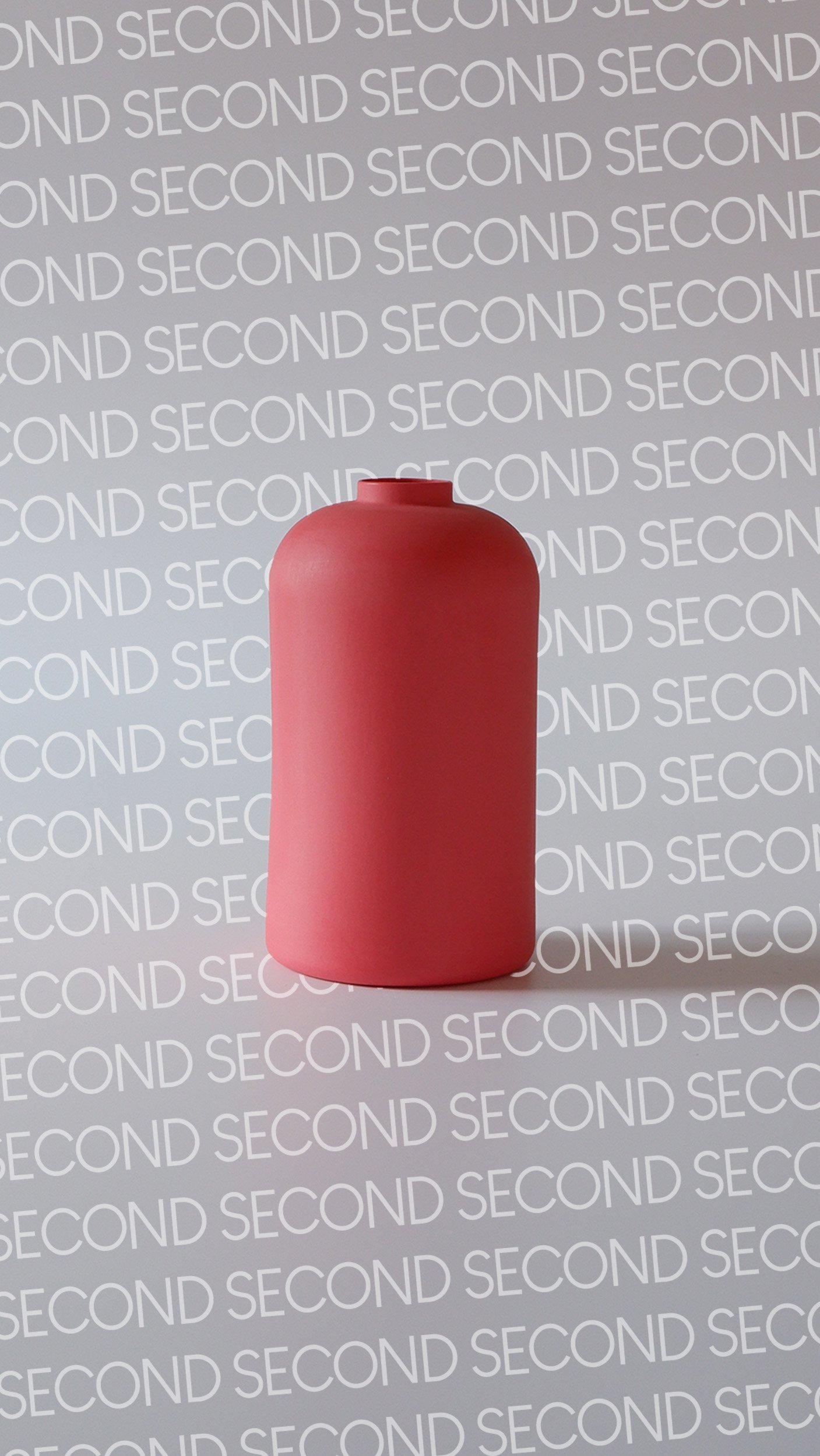 04-7 Raspberry Wide Second.jpg