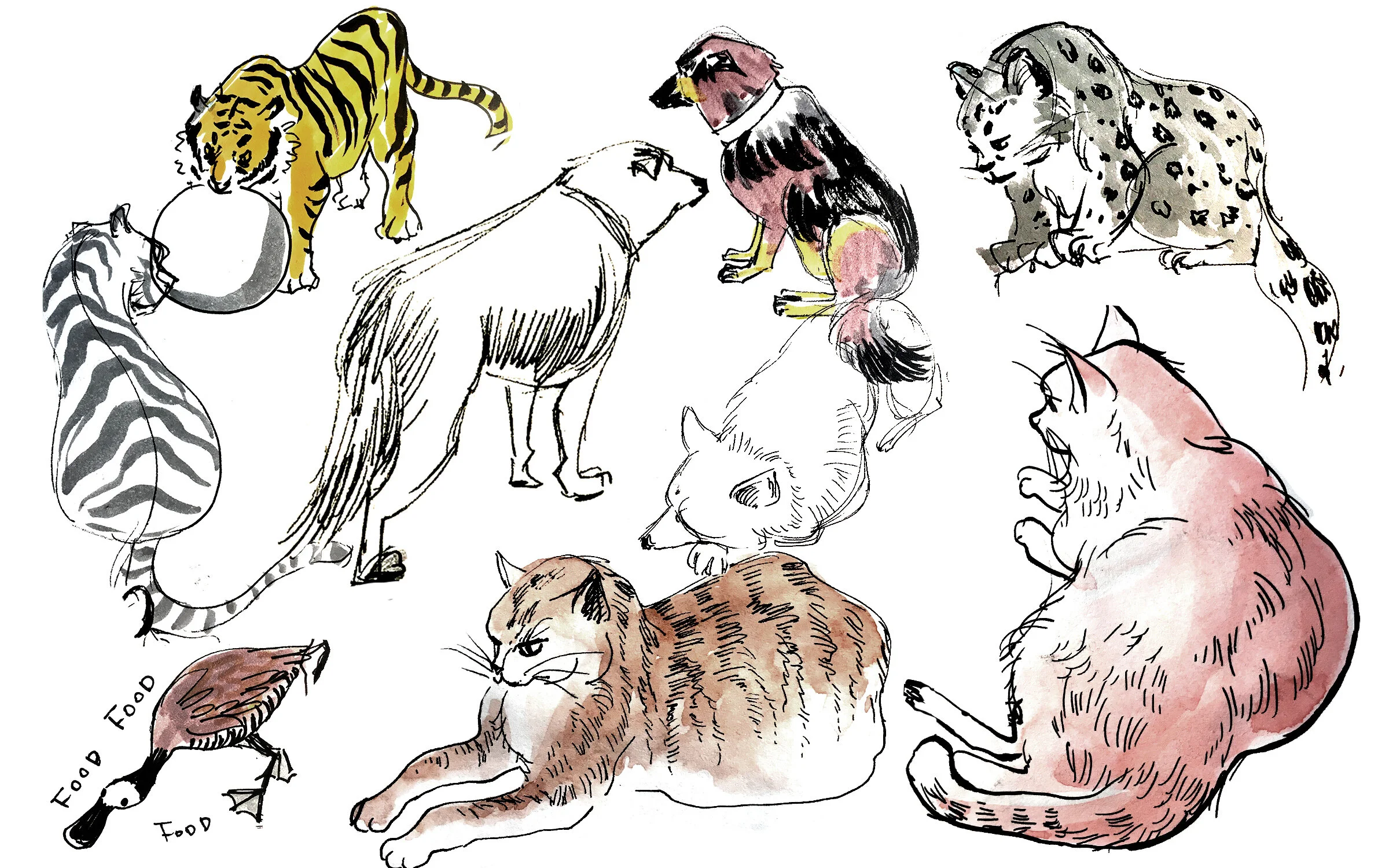 animals_pf.jpg