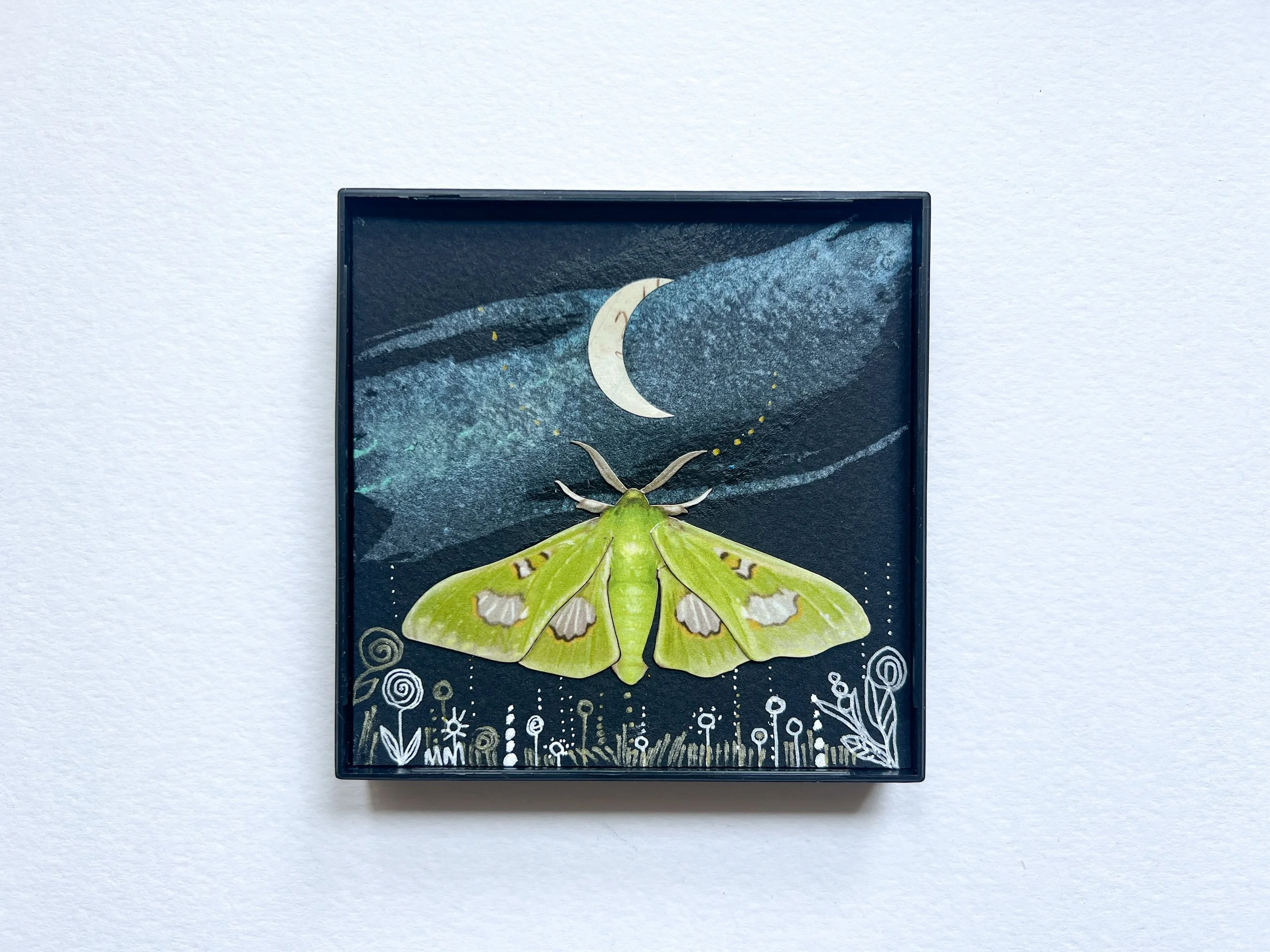 SQUARE SPECIMEN no. 2   Drifting Luna Moth + Crescent moon