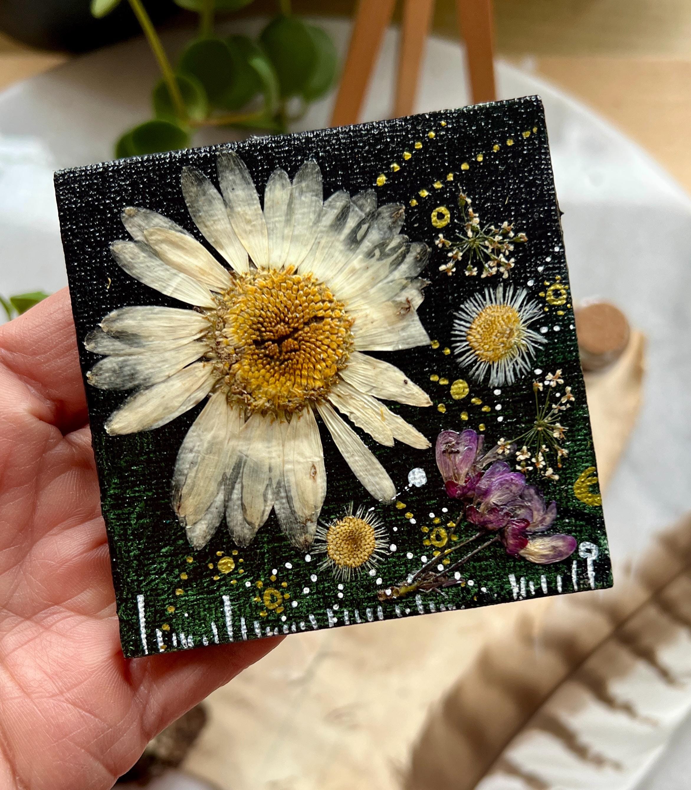 https://i.etsystatic.com/23379159/r/il/b6b111/6671213795/il_fullxfull.6671213795_8r6u.jpg
