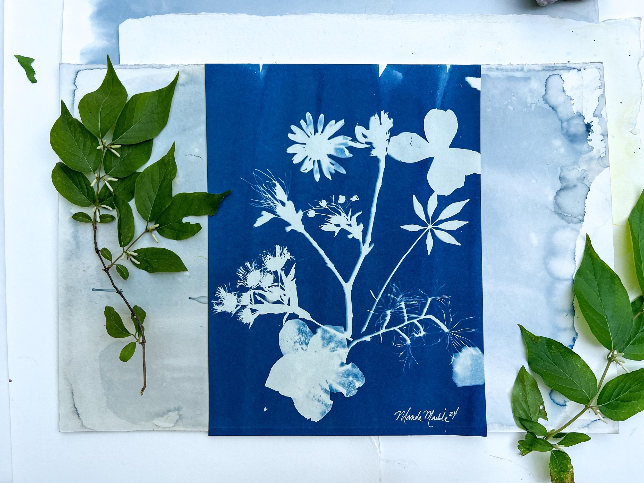 Wildflower Cyanotype