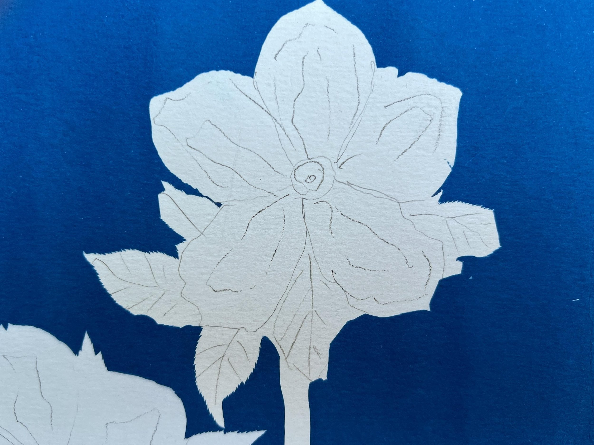 https://i.etsystatic.com/23379159/r/il/00f5d5/6857140194/il_fullxfull.6857140194_pz0q.jpg