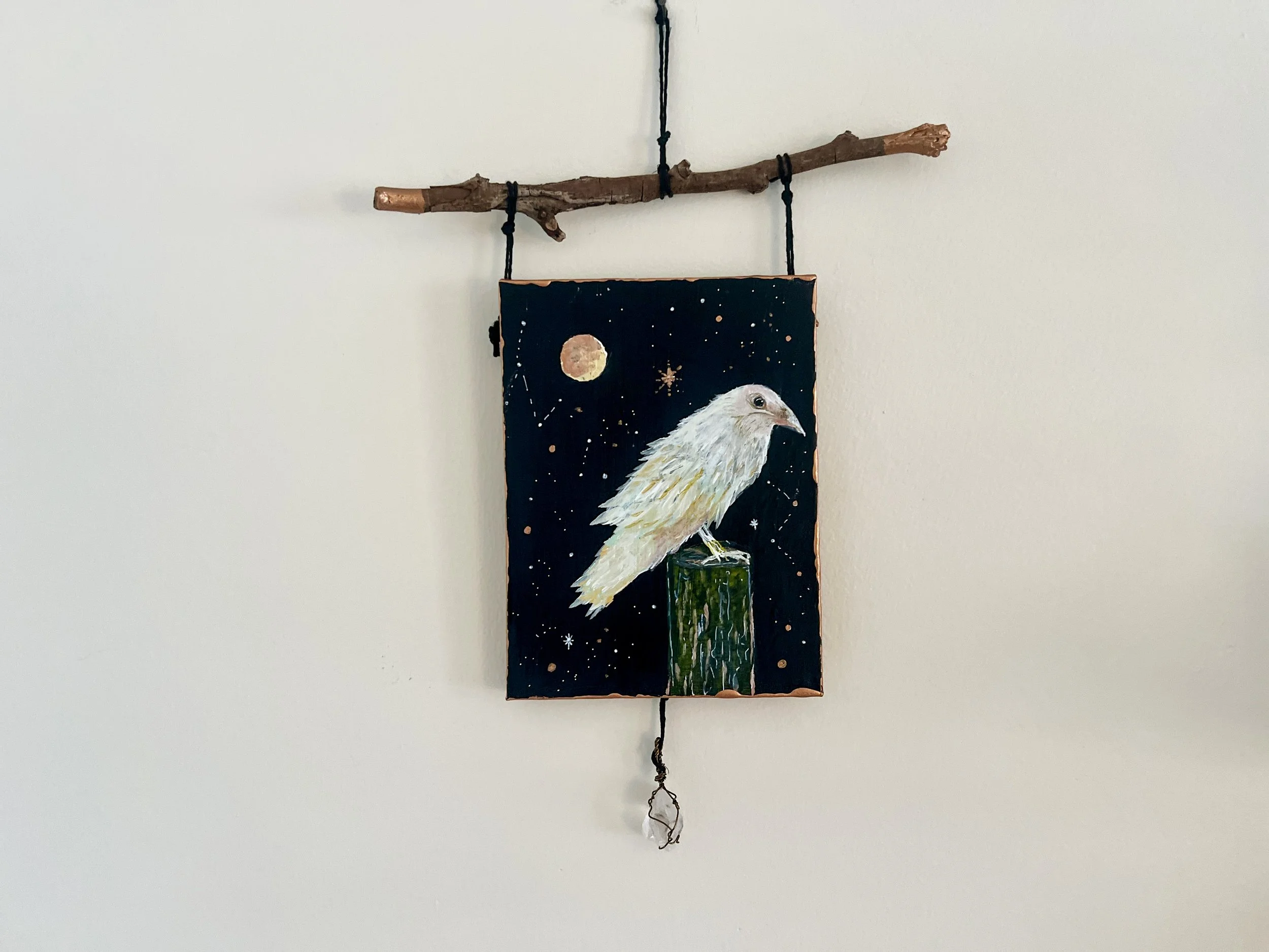 crow of clarity_9479.JPG