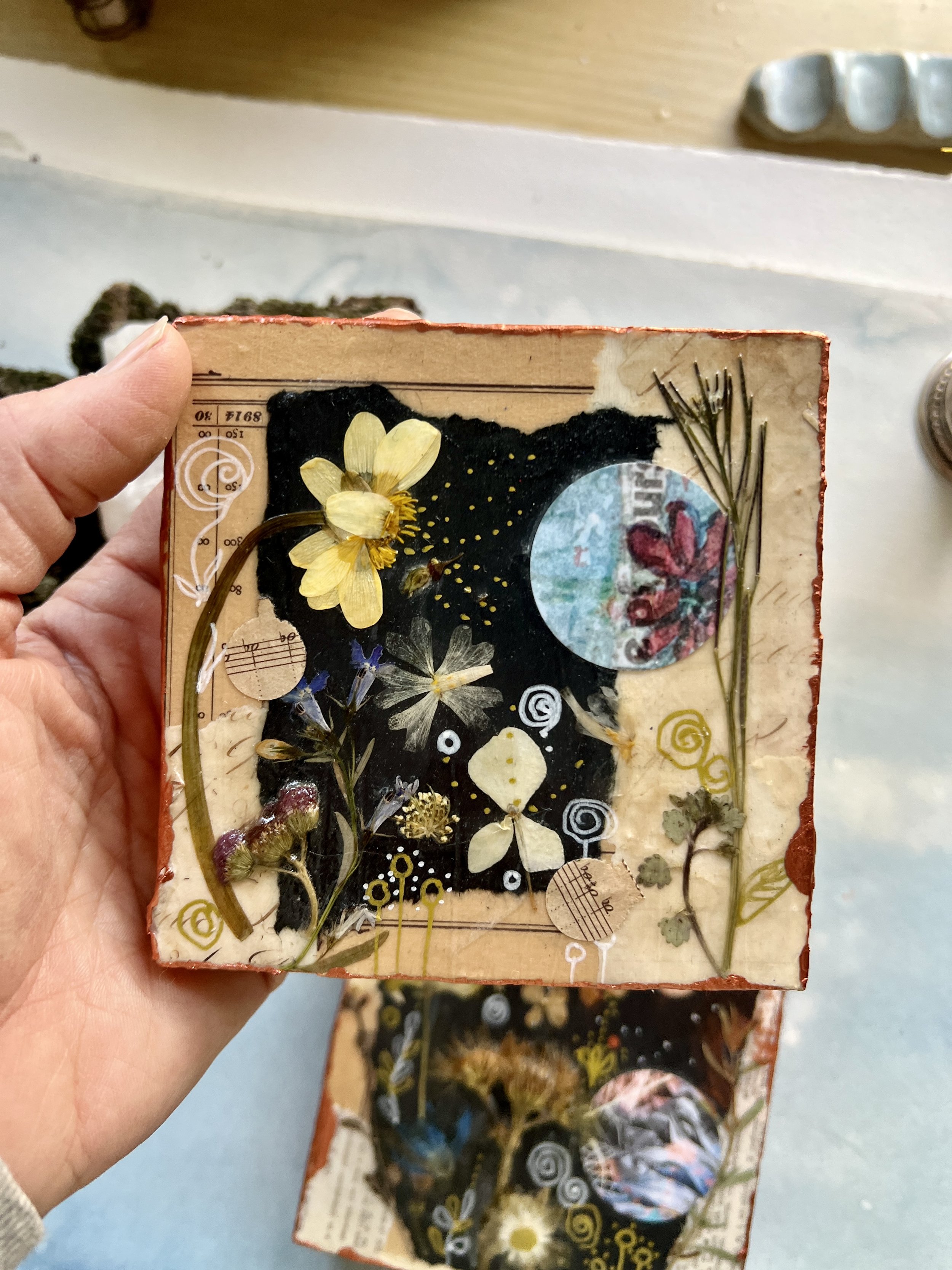 Little Moon Garden I