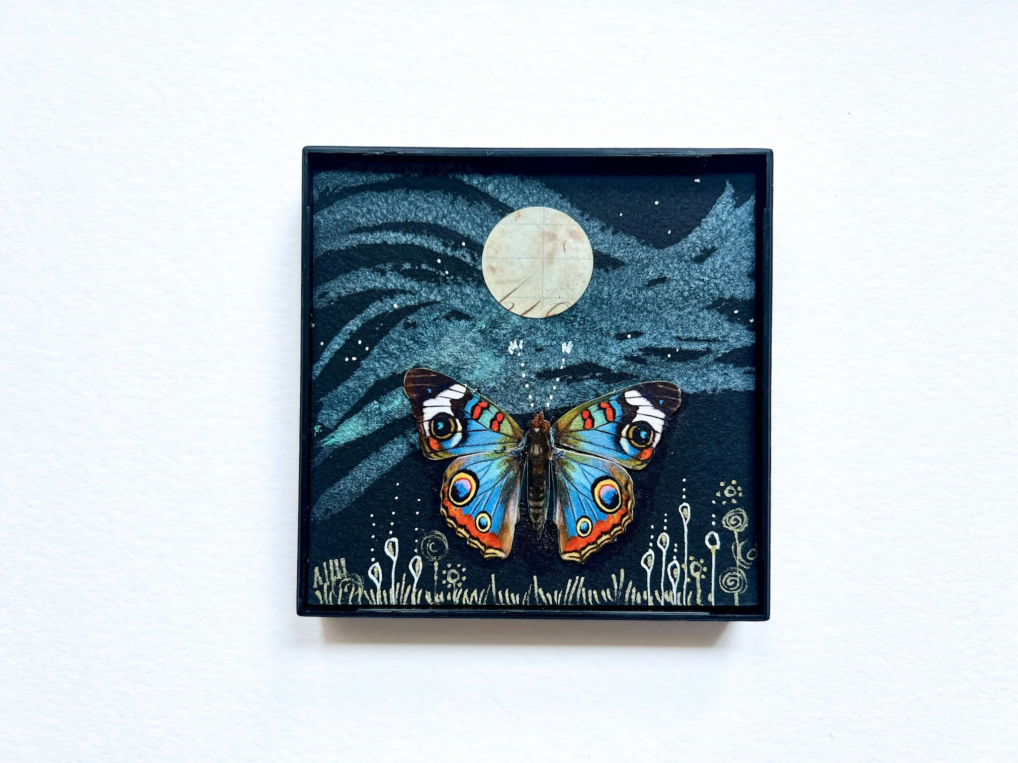 SQUARE SPECIMEN no. 4  Drifting With the Full Mon