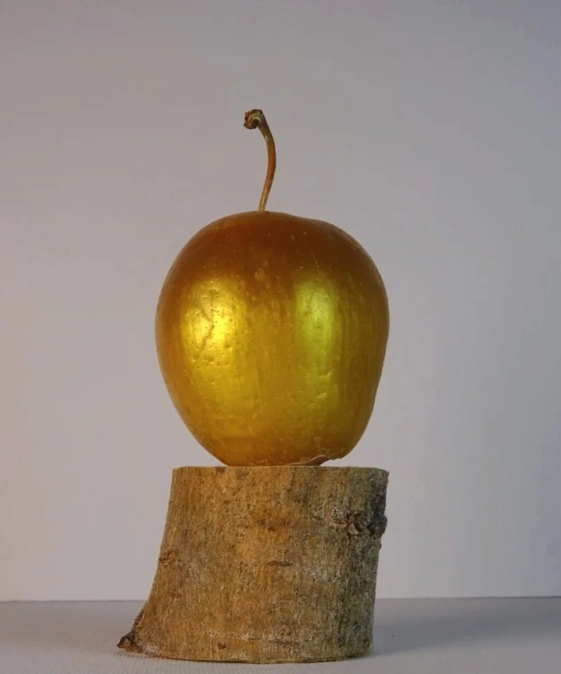 'Golden Apple' (Whole), Resin, Mica Powder, Beeswax, Tree & Apple Stem, 2026. (AVAILABLE)