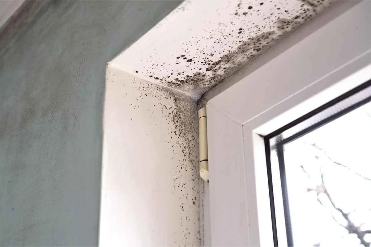Councils spend £45m on legal disrepair  claims in four years.
