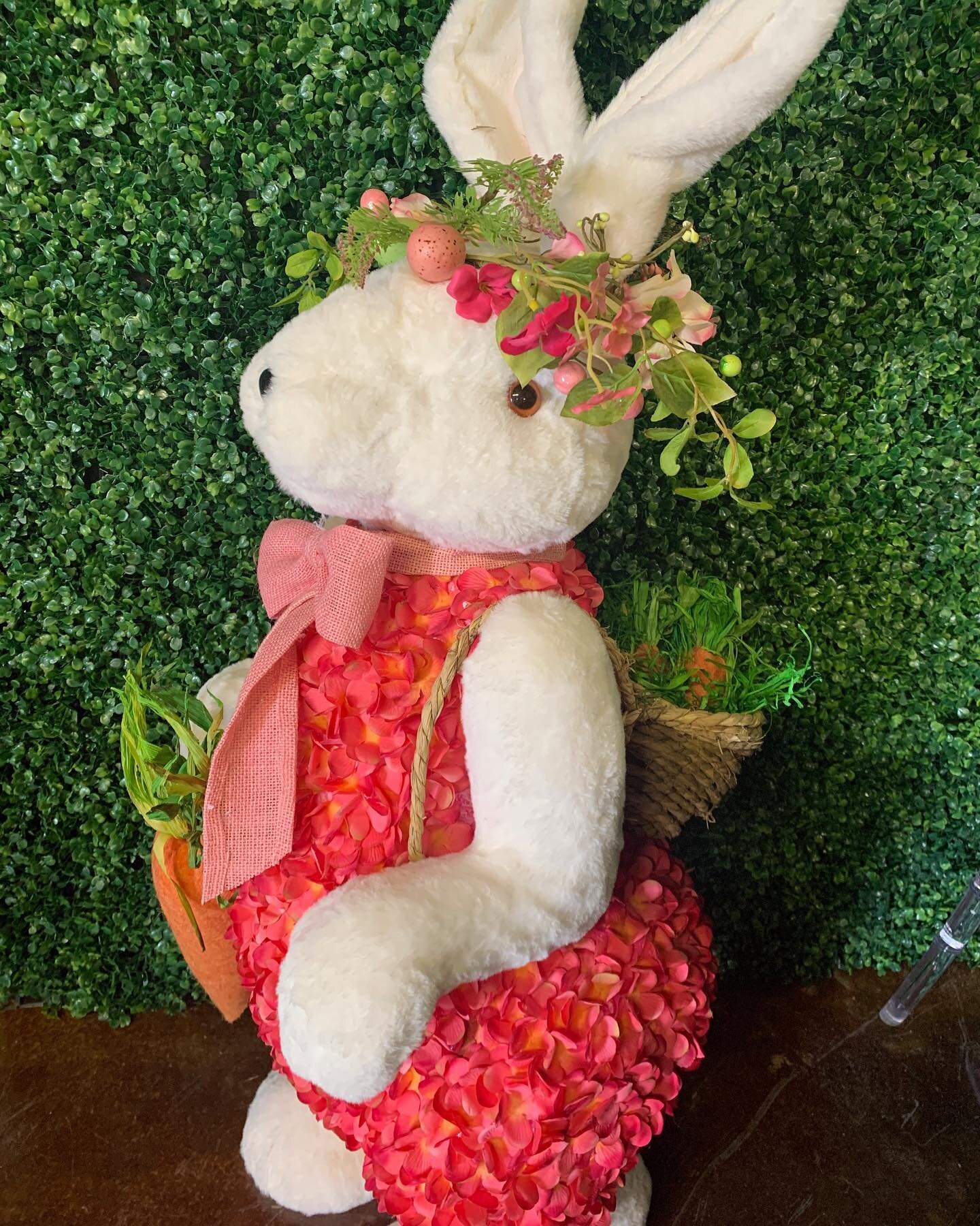 Miss Bunny would love an invite to your Easter celebration!! Add her to any of our flower wall rentals. Call me today for all our options!!