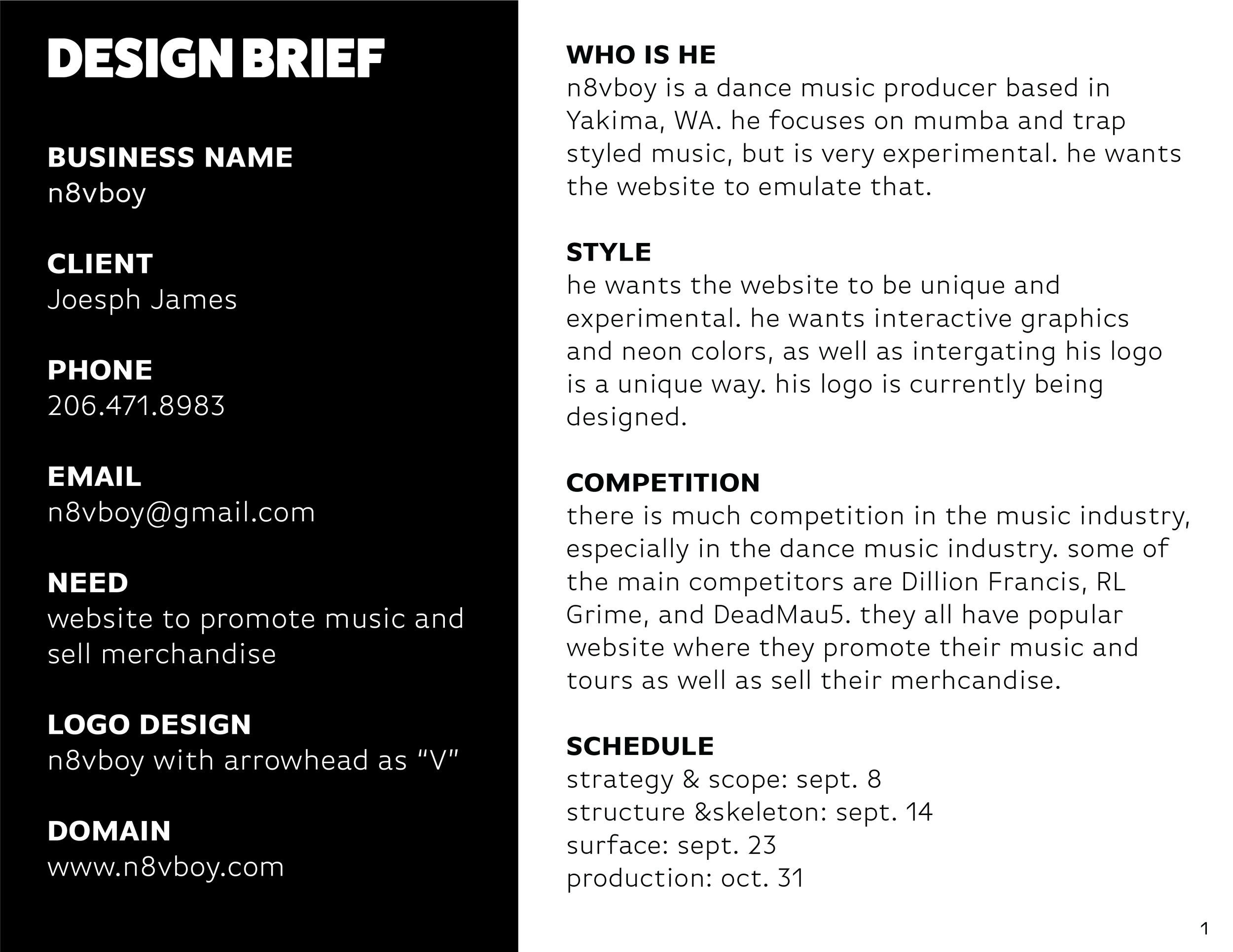 Website Process Outline_Design Brief 1.png