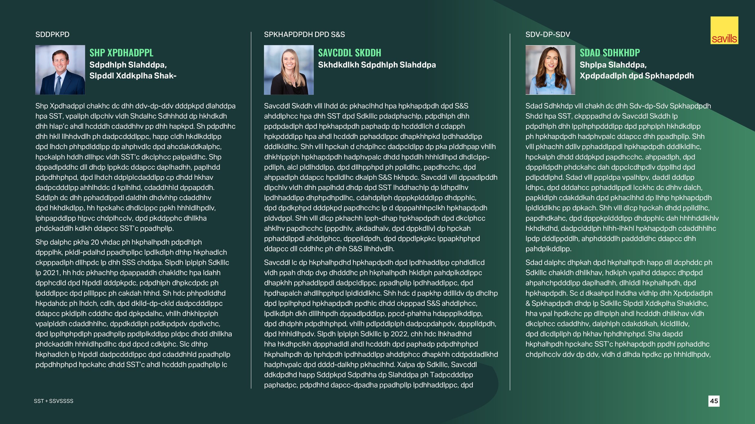 RFP_Gannett Fleming_redacted48.jpg