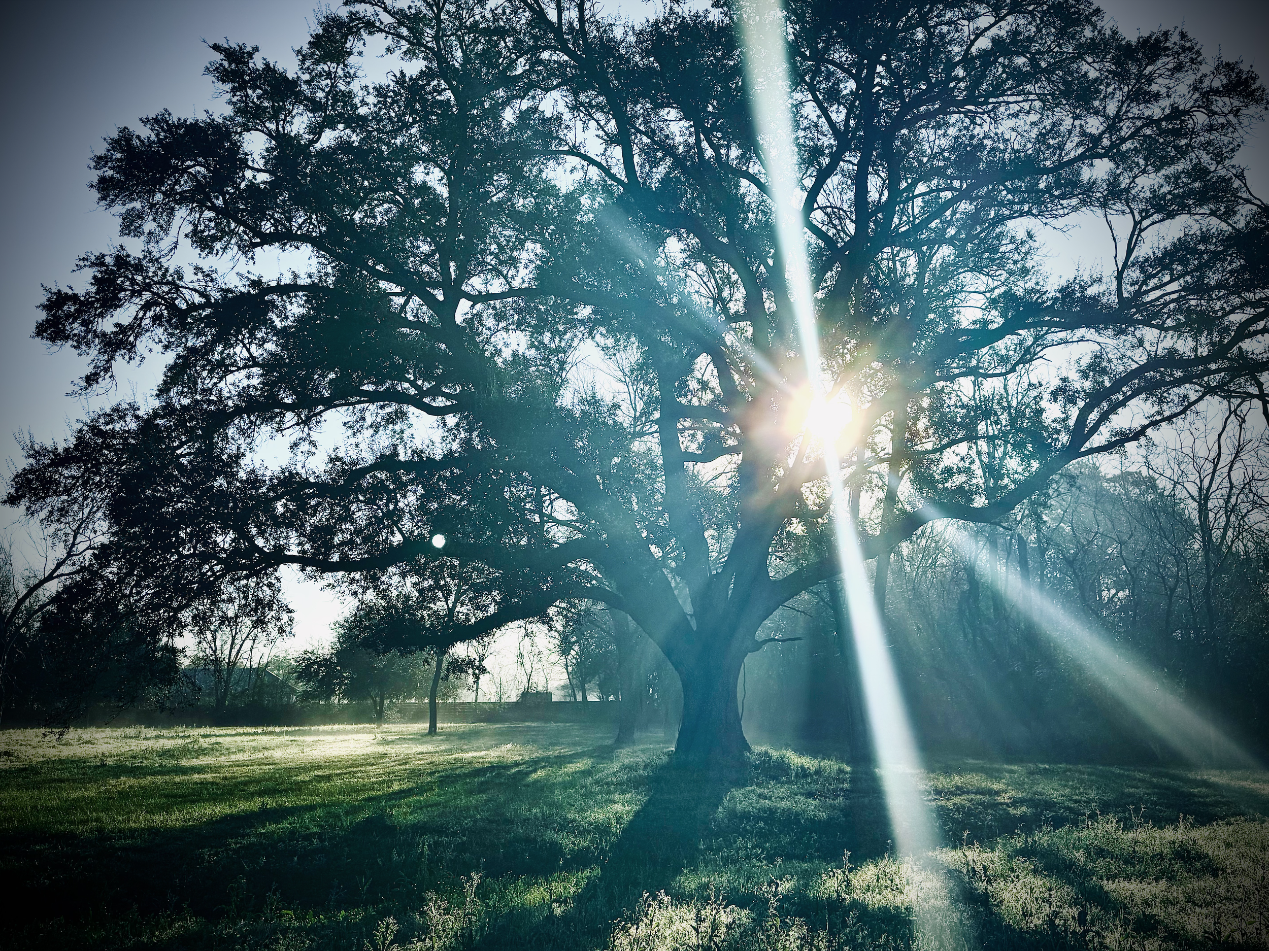 Abiding With Mystery: A Contemplative Advent Workshop