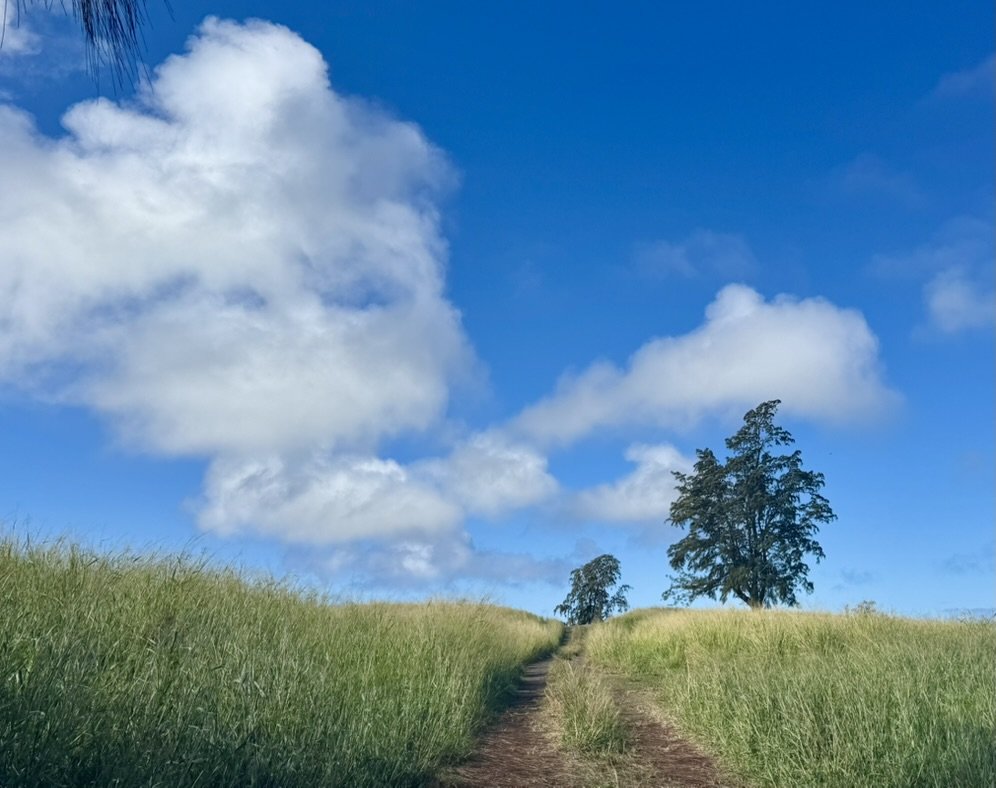 Hold the Date: Be Still and Know — A Contemplative Mini-Retreat Sunday, May 31 | 12:15–2:15 pm | on Zoom or in person in the chapel